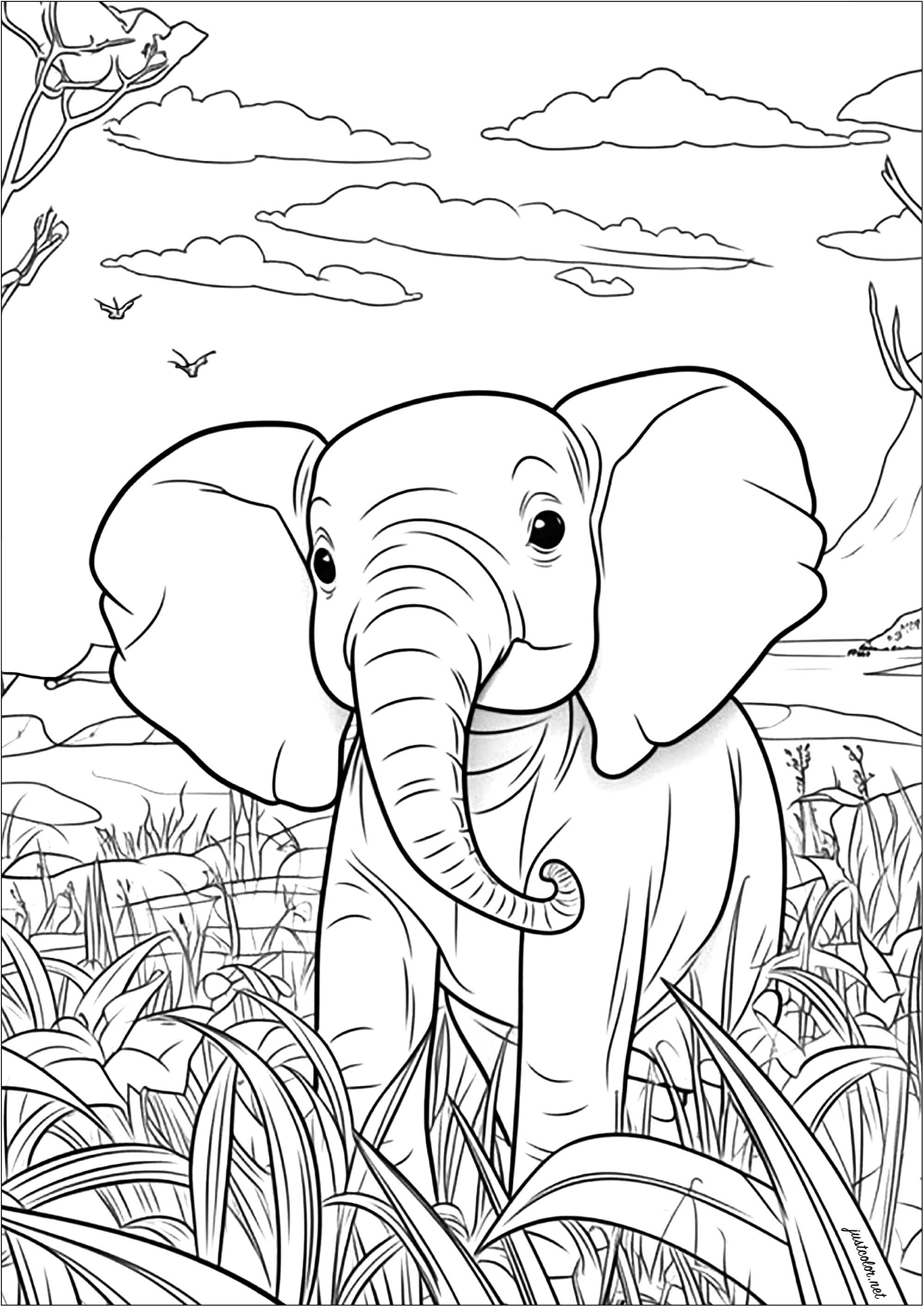 Diese schöne Malvorlage zeigt einen jungen Elefanten, der durch die Savanne spaziert. Sie können sehen, dass er von hohen Bäumen und Gräsern umgeben ist.