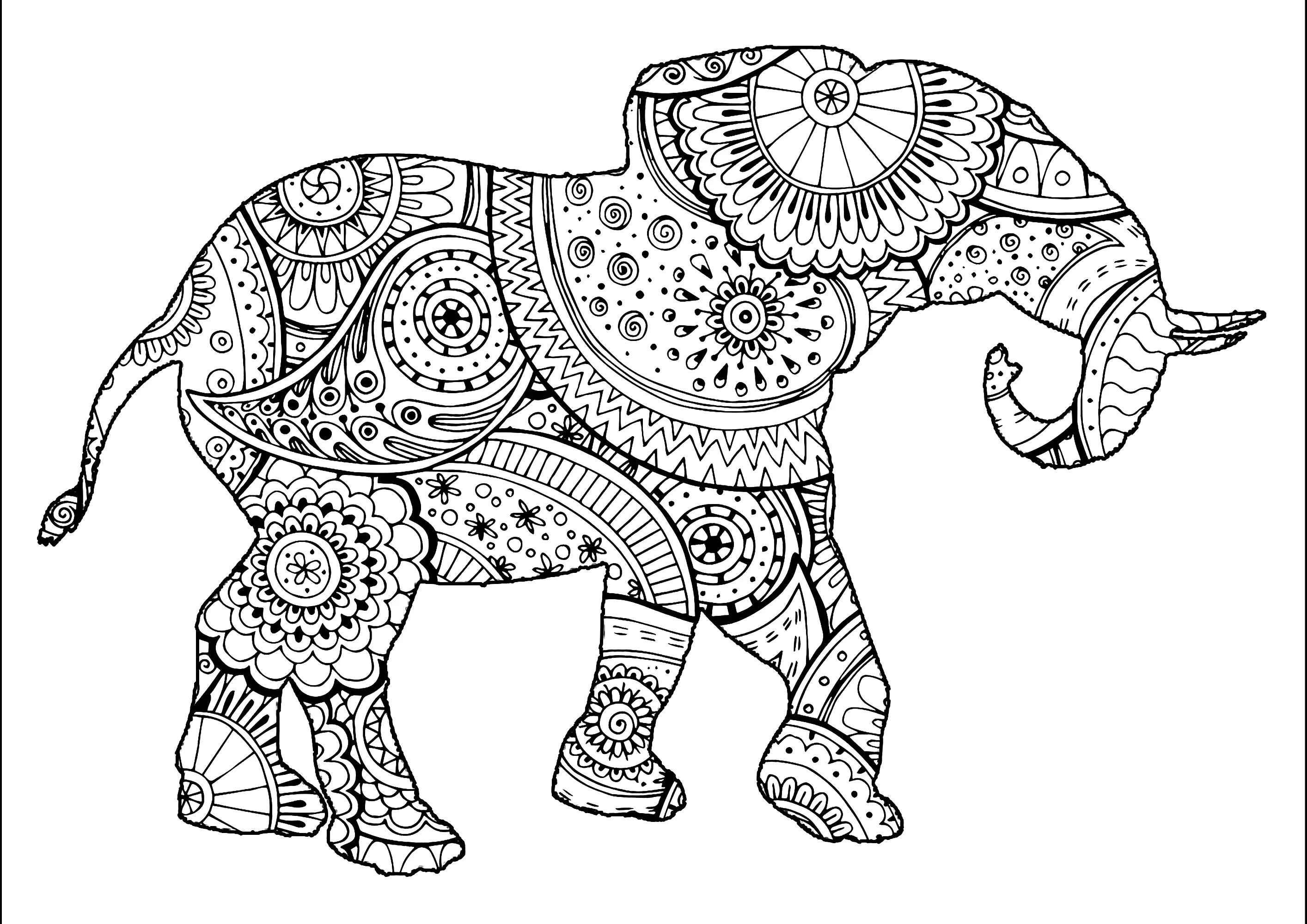 Elefant mit Zentangle- und Paisley-Motiven (Ausmalbild von Elefanten zum Ausdrucken und Ausmalen für Erwachsene)