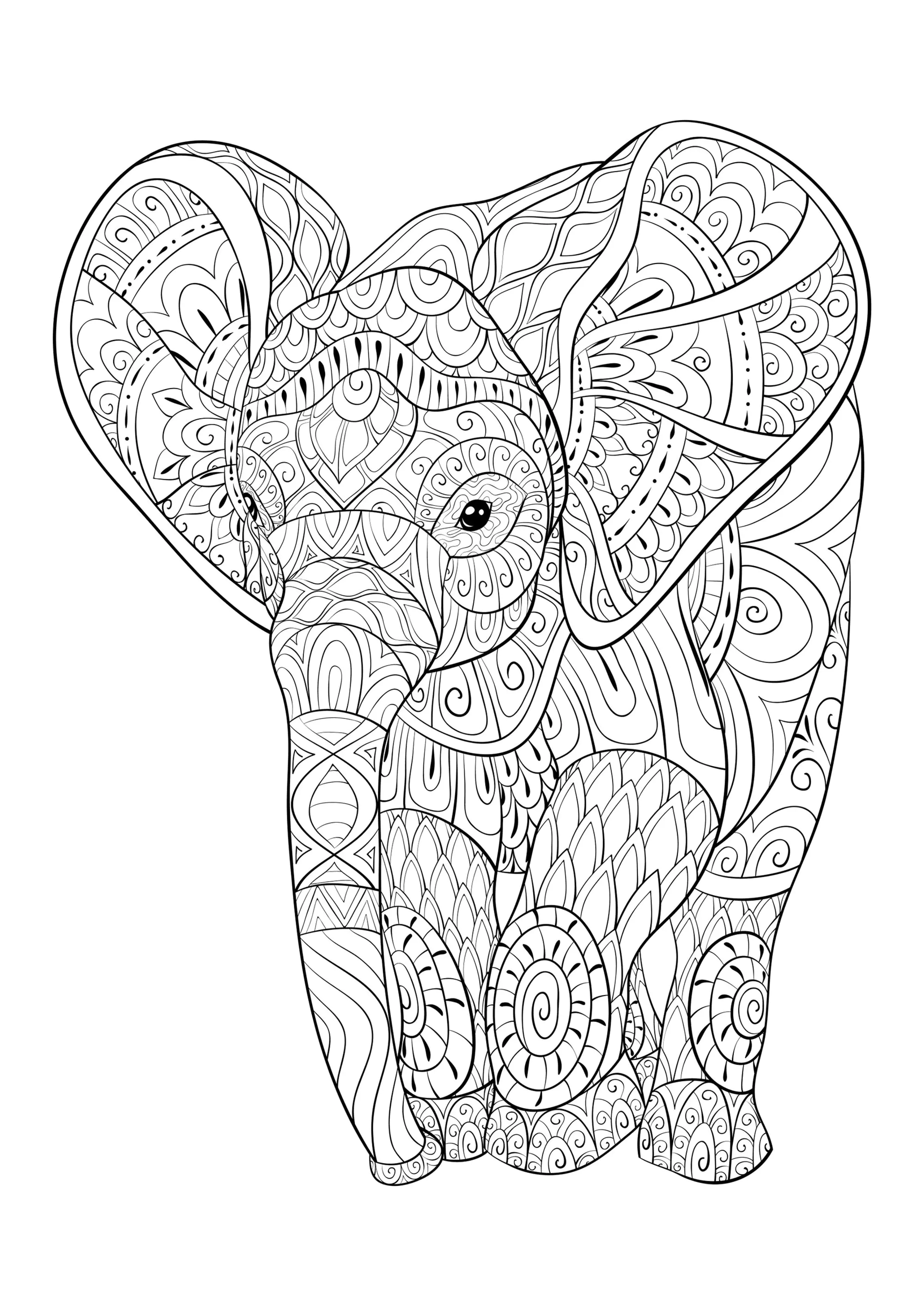 Junger Elefant (Ausmalbild von Elefanten zum Ausdrucken und Ausmalen für Erwachsene)