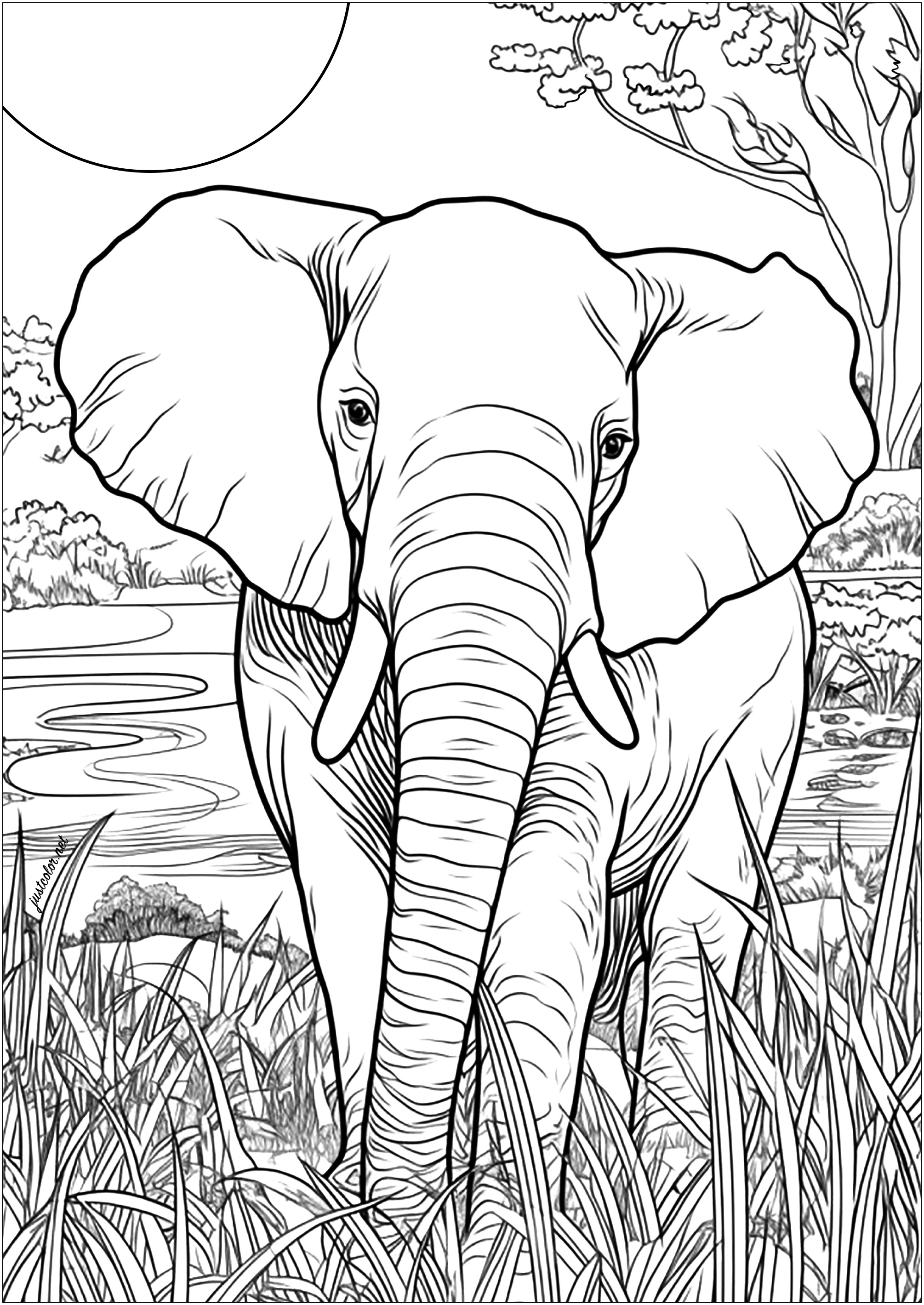 Eine Einladung, die Tierwelt Afrikas zu entdecken. Diese Malvorlage zeigt einen erwachsenen Elefanten, der durch die Savanne spaziert. Der Elefant ist majestätisch und steht mit gespreizten Ohren und auf den Boden gerichteten Stoßzähnen da. Im Hintergrund: eine schöne Landschaft und die Sonne.