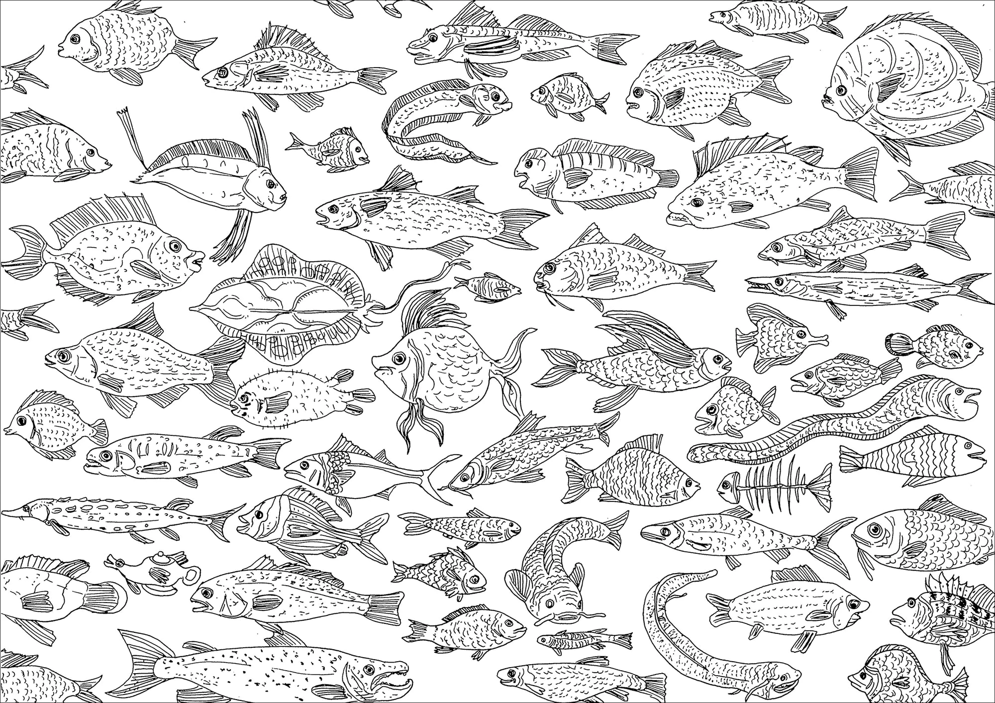 Zahlreiche Fische (Ausmalbild von Frédéric Brogard zum Ausdrucken und Ausmalen für Erwachsene)