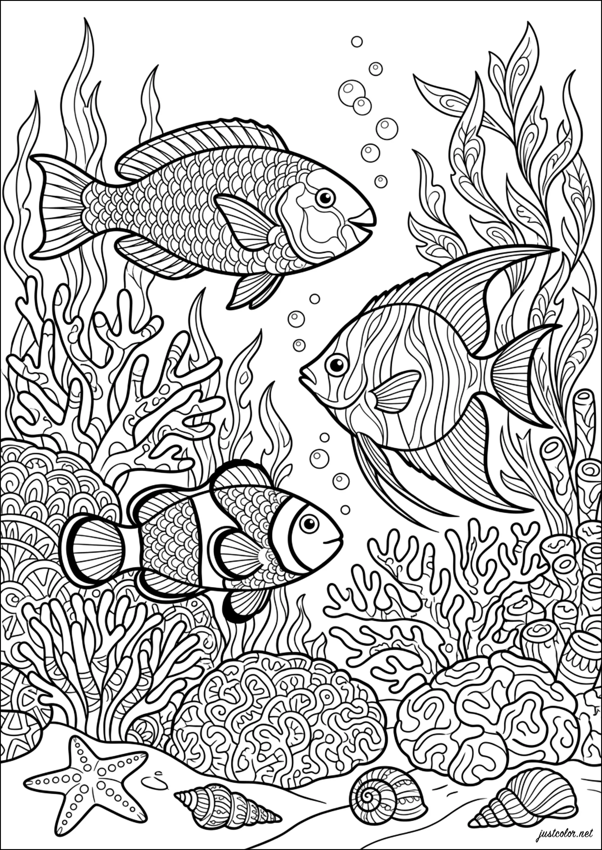 Wasserballett in Korallenfarben (Ausmalbild von Fische zum Ausdrucken und Ausmalen für Erwachsene)