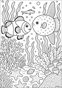 Ausmalbilder von Fische zum Ausdrucken und Ausmalen für Erwachsene