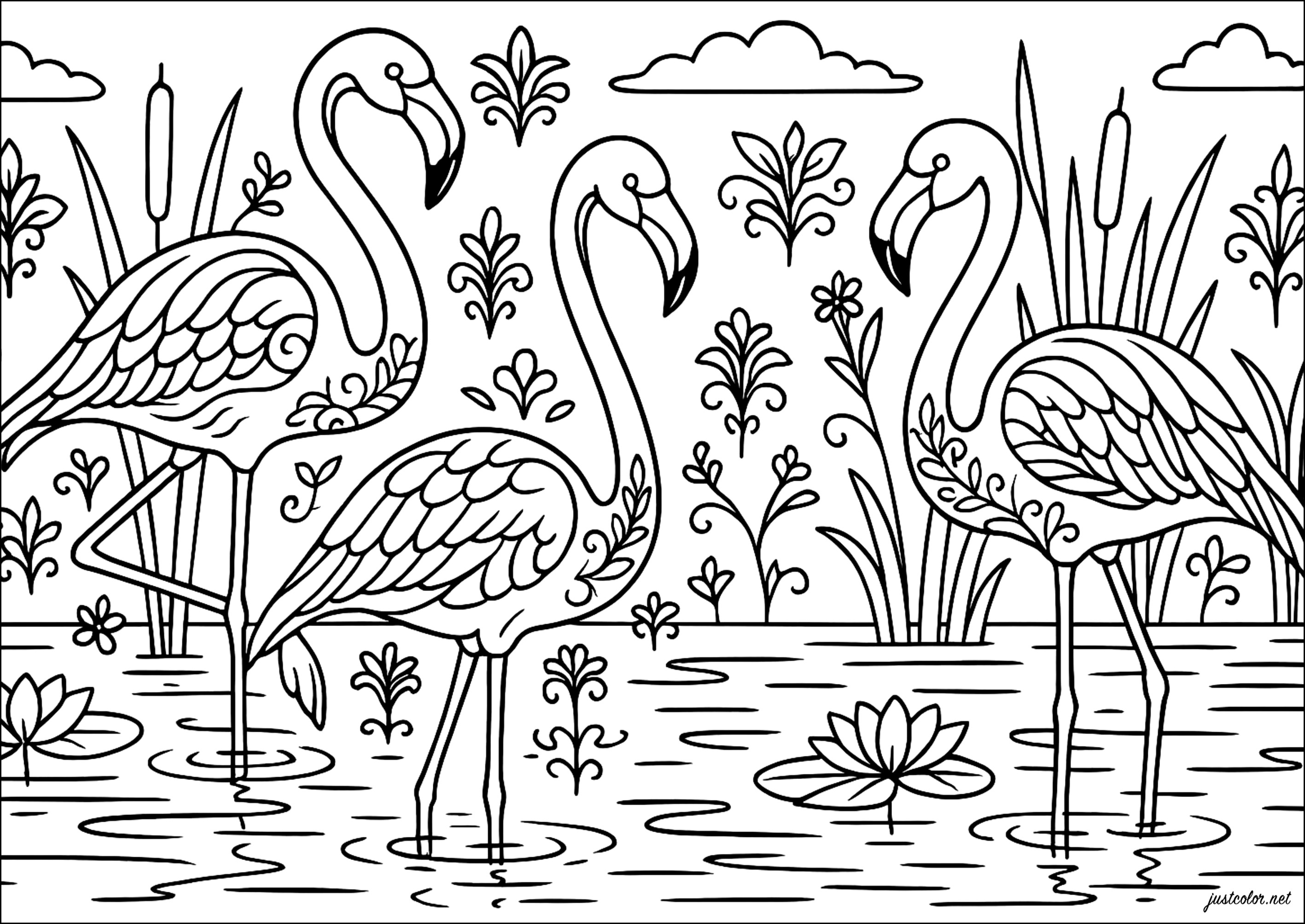 Eleganz der rosa Flamingos (Ausmalbild zum Ausdrucken und Ausmalen für Erwachsene)
