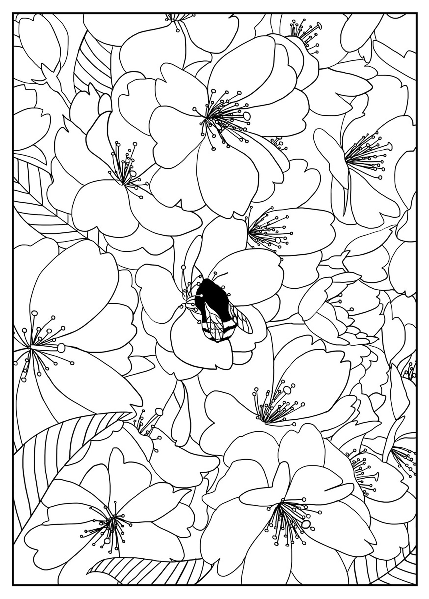 Hübsche Kirschblüten. Färbe diese wunderschönen Kirschblüten aus, wobei die mittlere Blüte von einer hübschen Biene gepflückt wird. Es bleibt dir überlassen, ob du alle Blumen in der gleichen Farbe, in ganz unterschiedlichen Farben oder mit Schattierungen einer einzigen Farbe ausmalst.., Künstler : Mizu