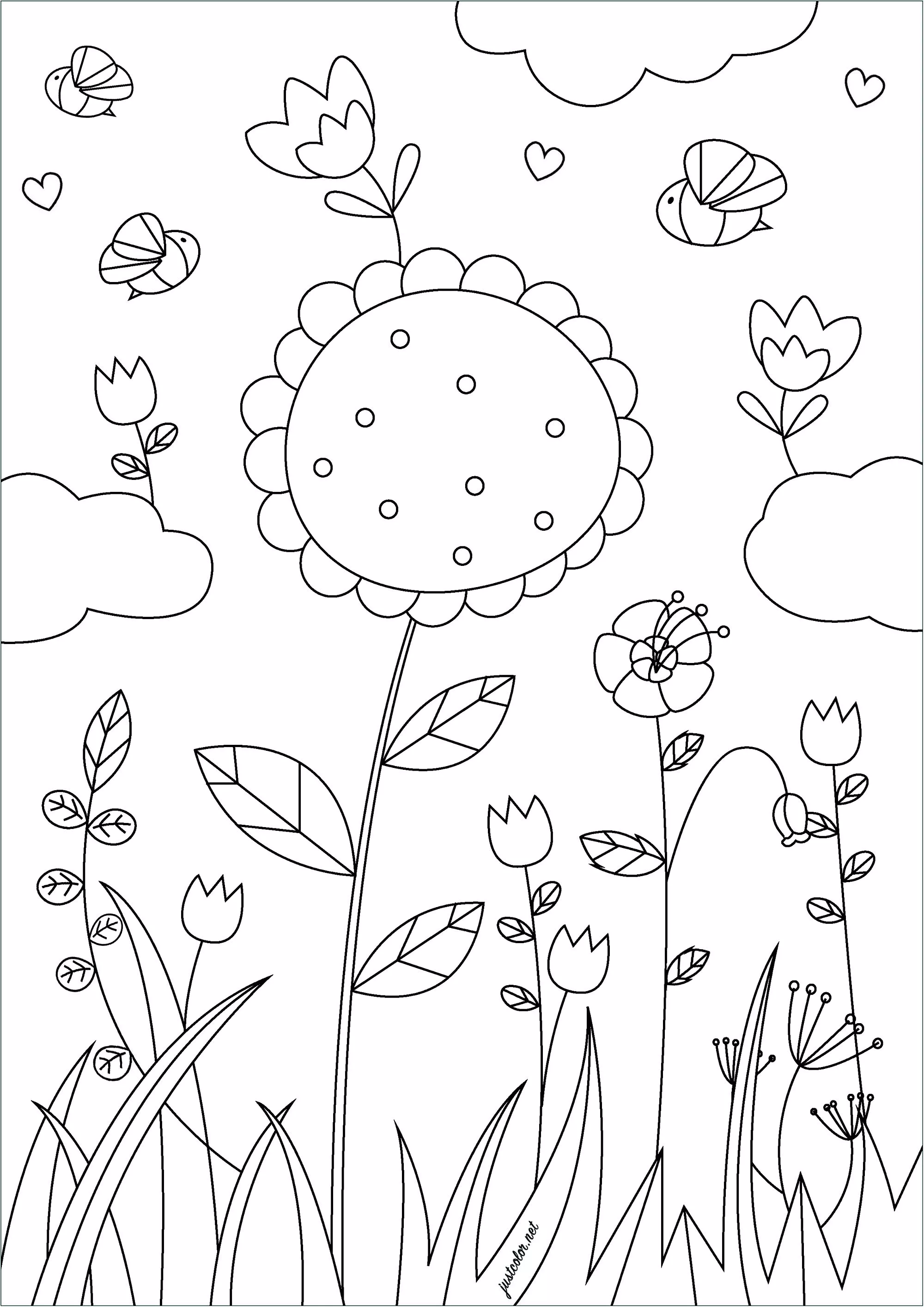 Frühlingsblumen (Ausmalbild von Blumen & Vegetation zum Ausdrucken und Ausmalen für Erwachsene)