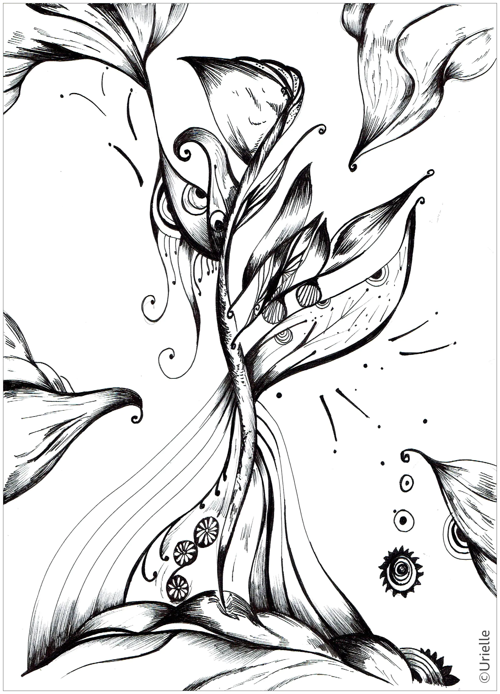 "Schöne des Tages" (Day's beauty) (Ausmalbild von Blumen & Vegetation zum Ausdrucken und Ausmalen für Erwachsene)
