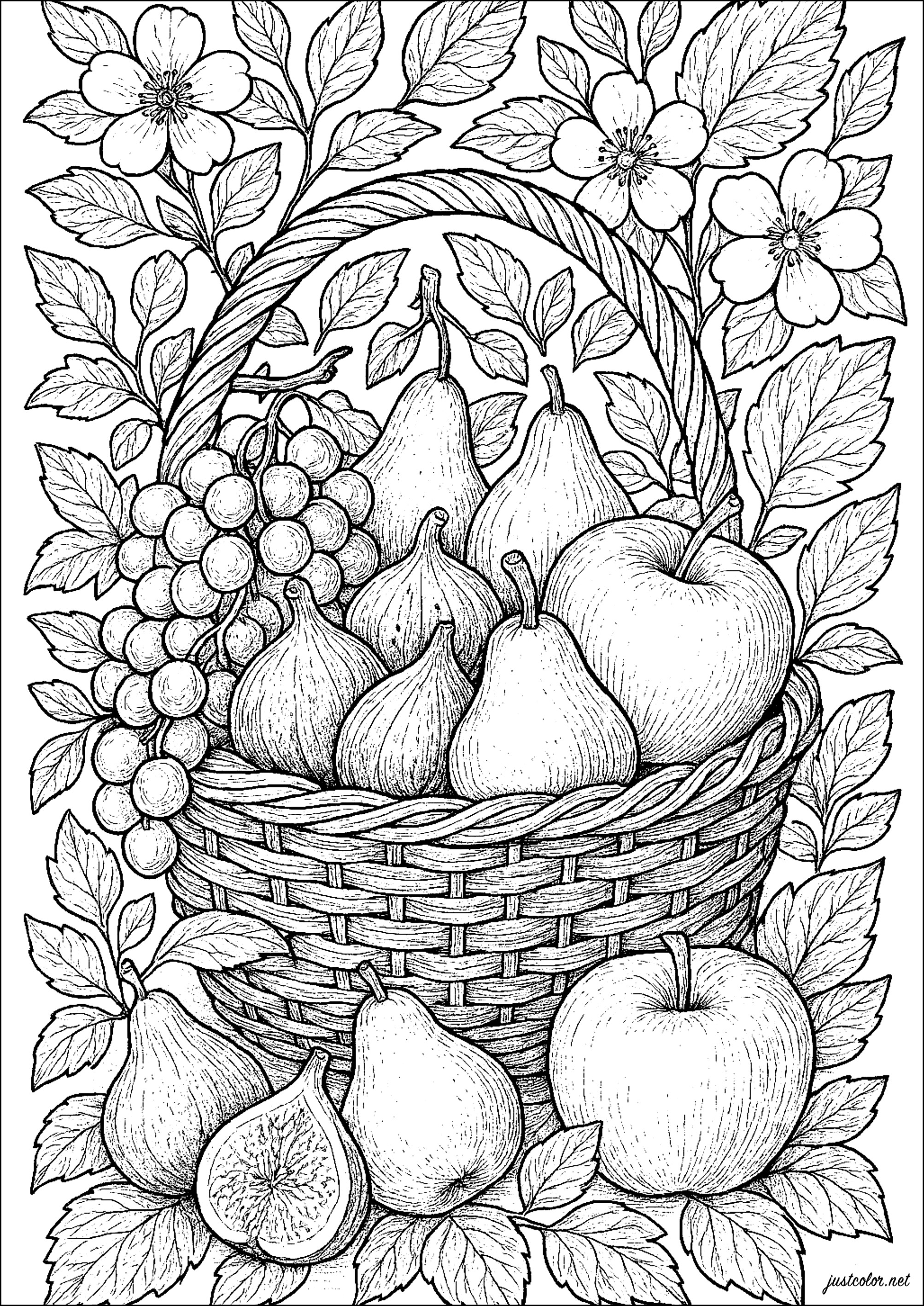 Obstkorb: Feigen, Weintrauben und Birnen (Ausmalbild von Blumen & Vegetation zum Ausdrucken und Ausmalen für Erwachsene)
