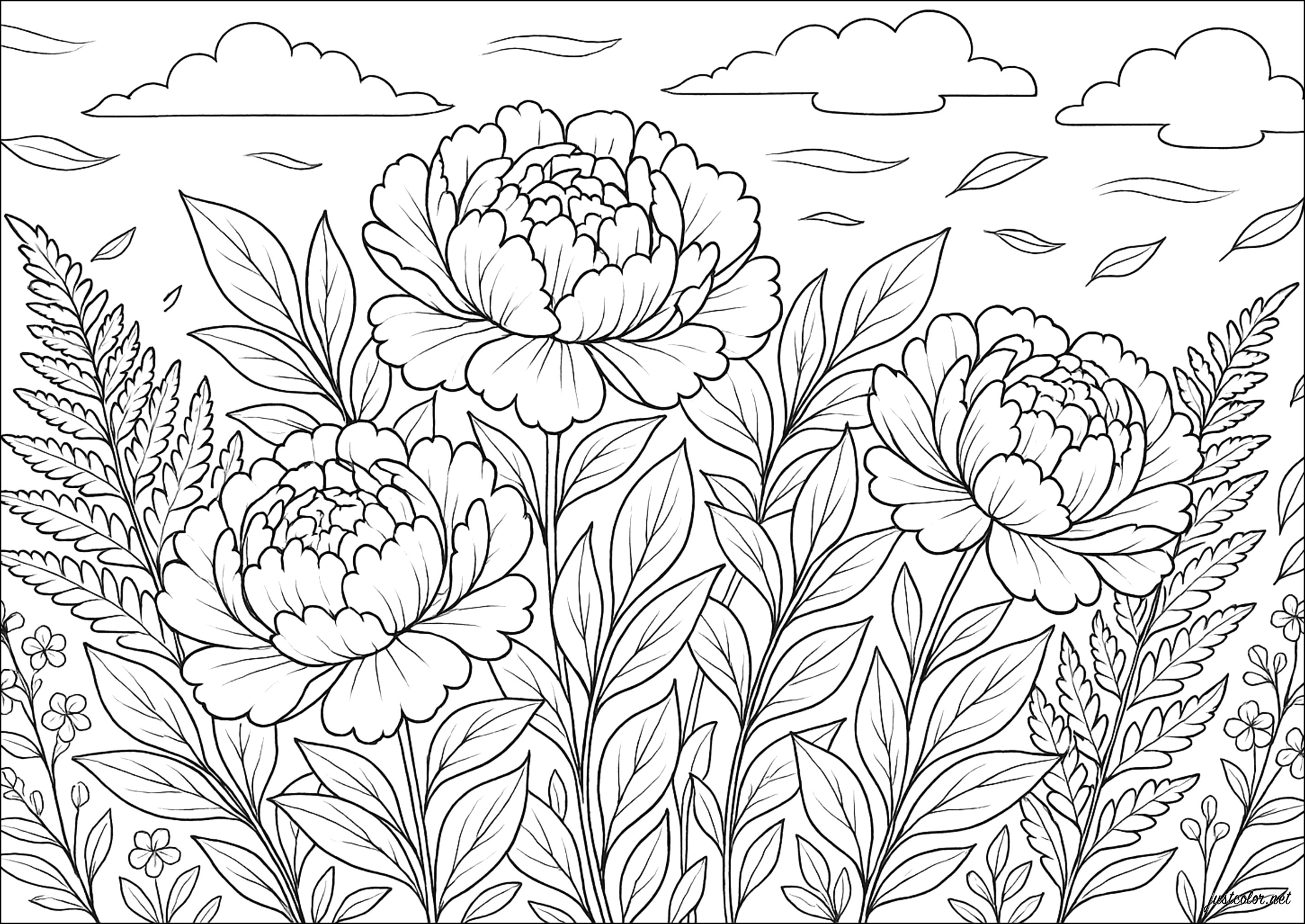 Elegante Pfingstrosen (Ausmalbild von Blumen & Vegetation zum Ausdrucken und Ausmalen für Erwachsene)