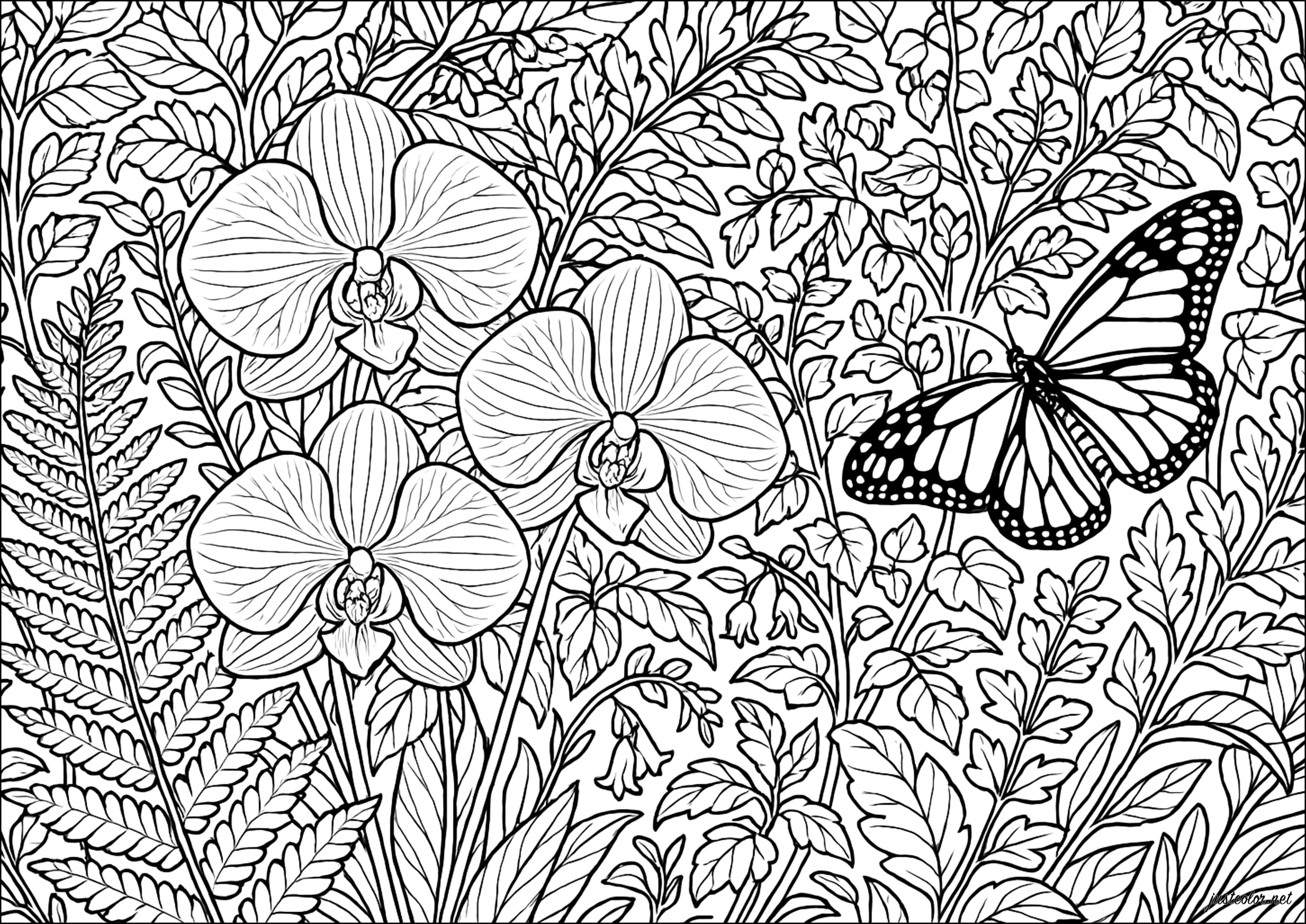 Blumen-vegetation-61477 (Ausmalbild von Blumen & Vegetation zum Ausdrucken und Ausmalen für Erwachsene)