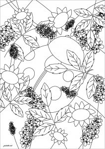 Blätter (Ausmalbild von Blumen & Vegetation)
