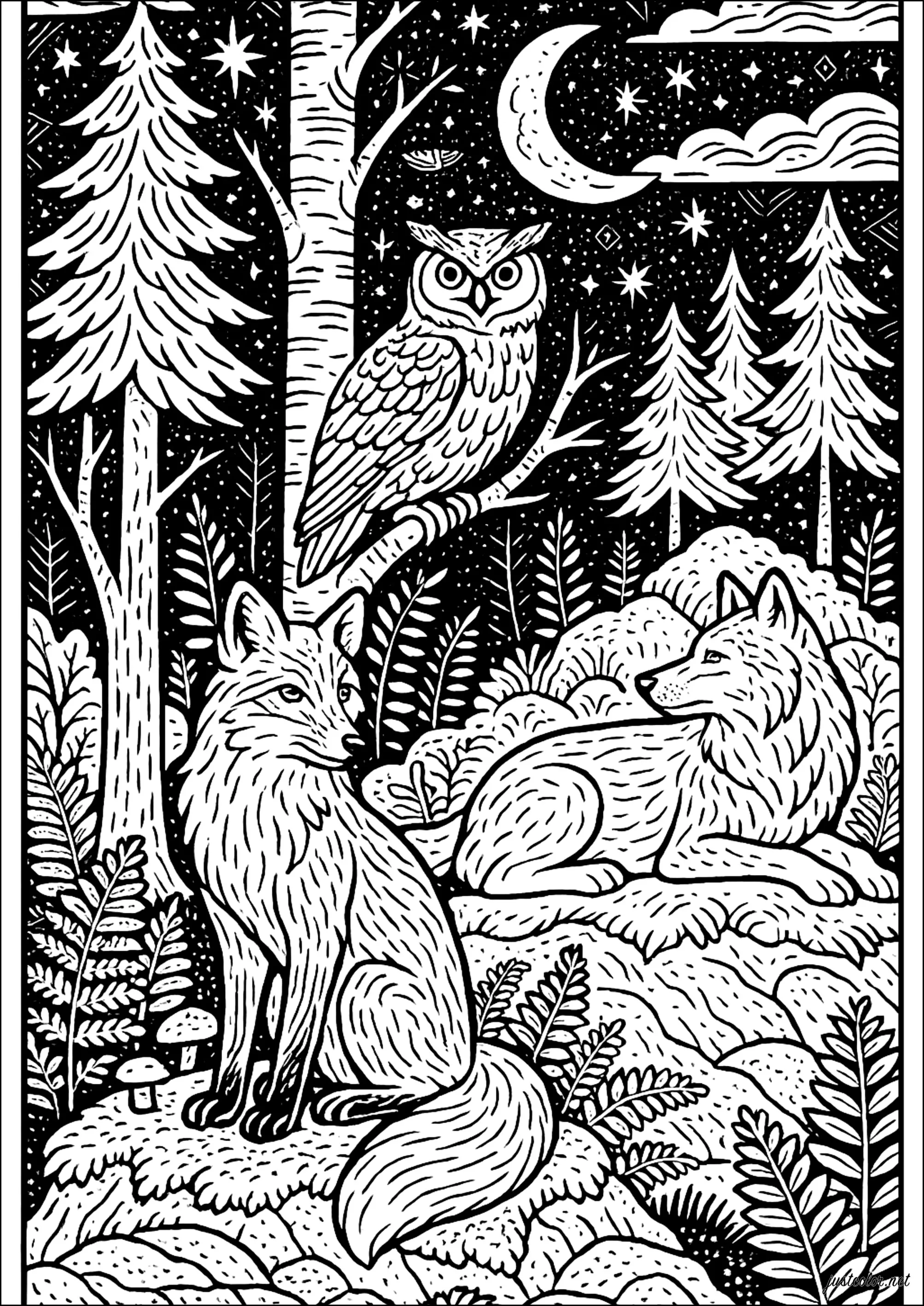 Fuchs, Eule und Wolf im nächtlichen Wald (Ausmalbild von Füchse zum Ausdrucken und Ausmalen für Erwachsene)