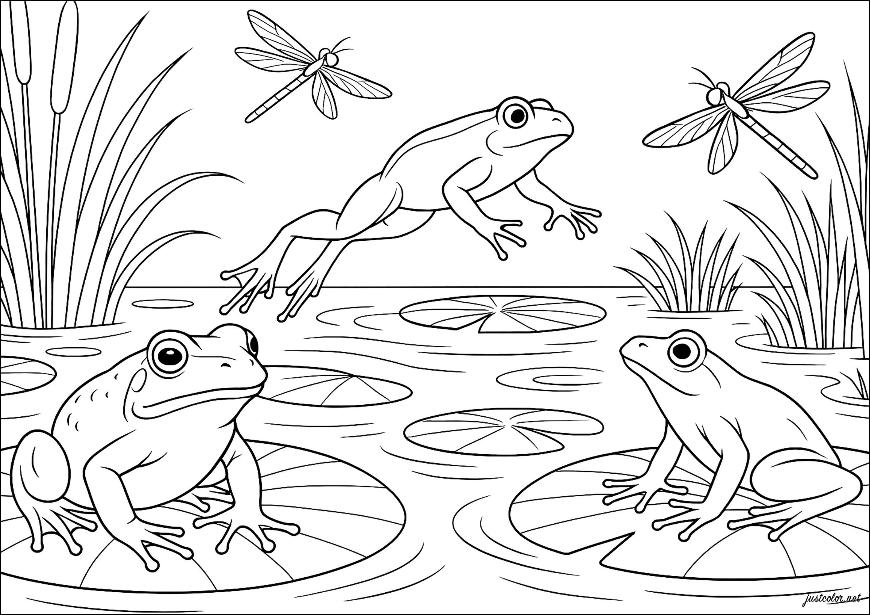 Drei Frösche in einem ruhigen Teich (Ausmalbild zum Ausdrucken und Ausmalen für Erwachsene)