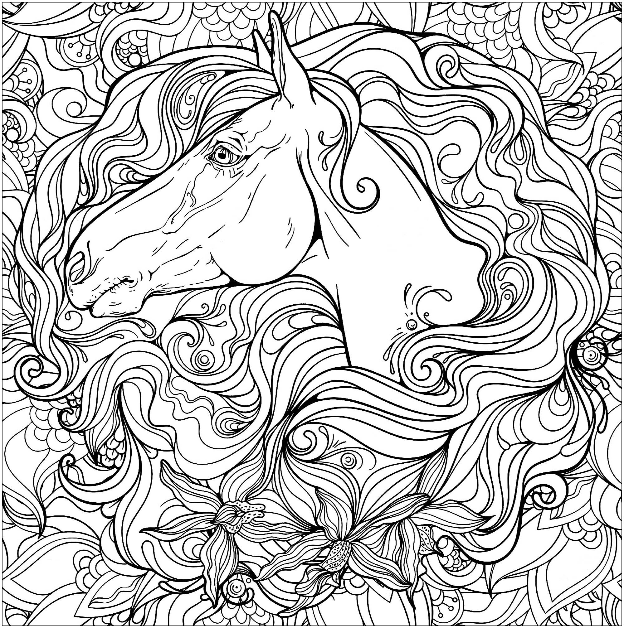 Malbuch Fur Erwachsene  : Pferde - 1, Quelle : 123rf   Künstler : Nadiia Zhebrakovska