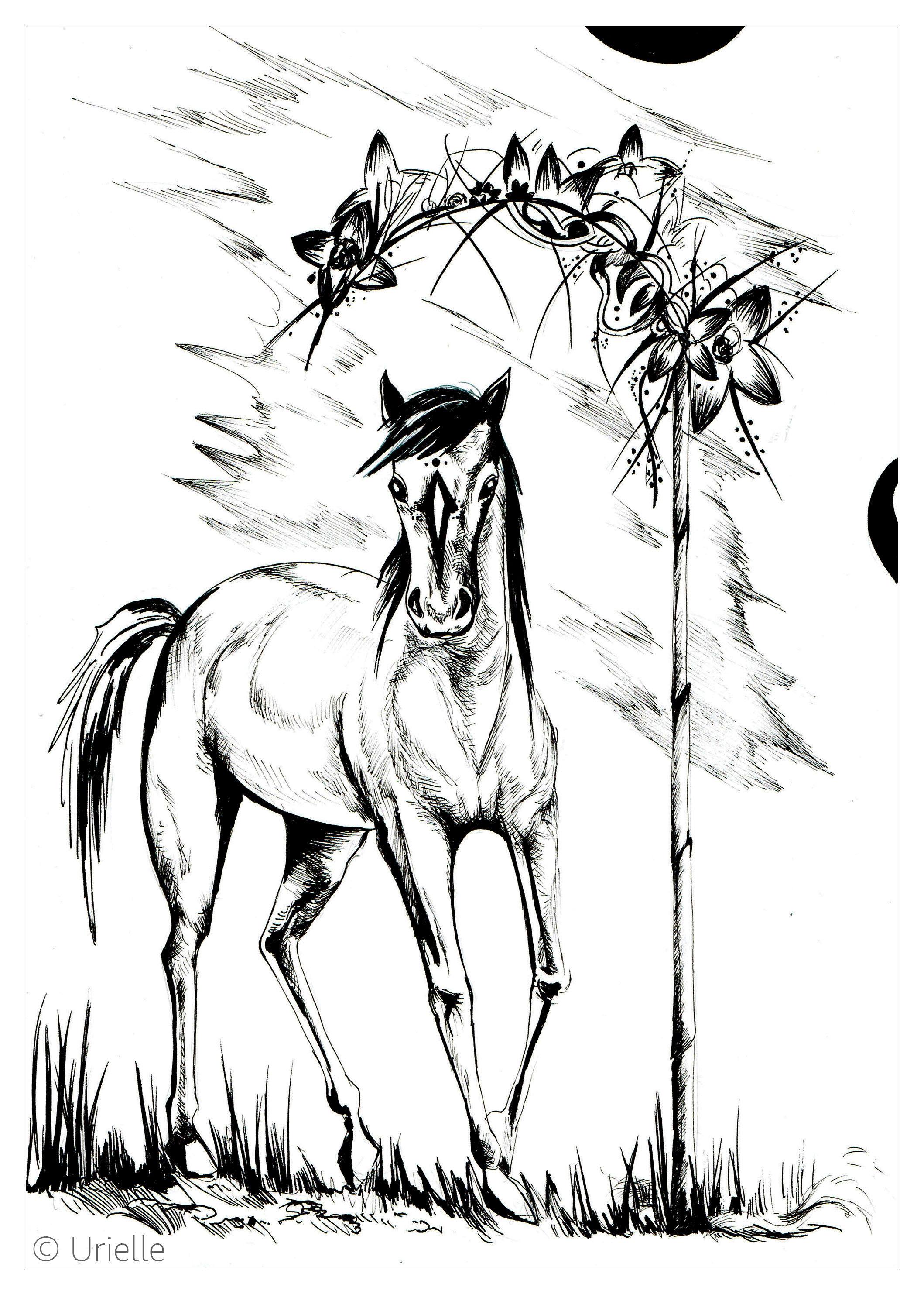 Majestätisches Pferd, Künstler : Urielle