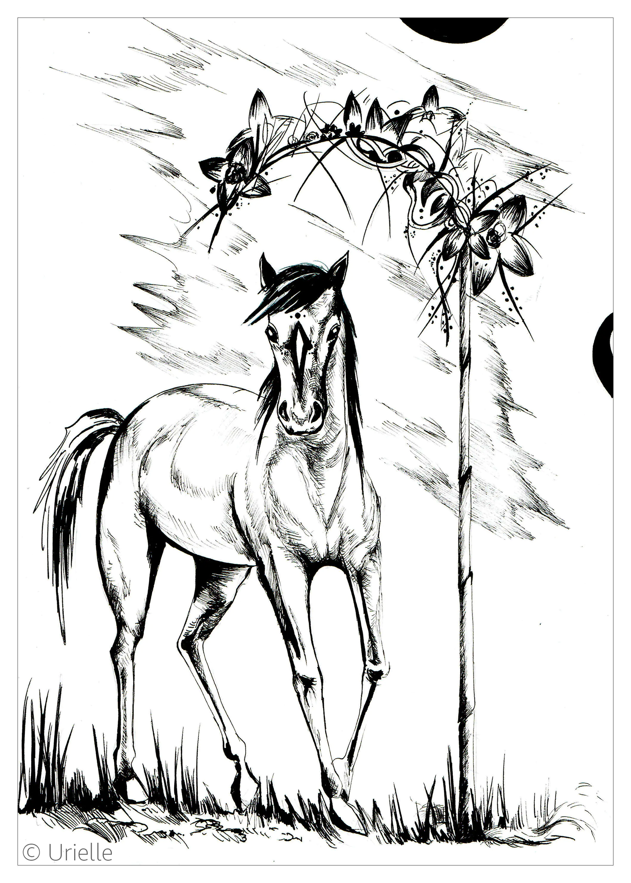 Majestätisches Pferd (Ausmalbild von Pferde zum Ausdrucken und Ausmalen für Erwachsene)