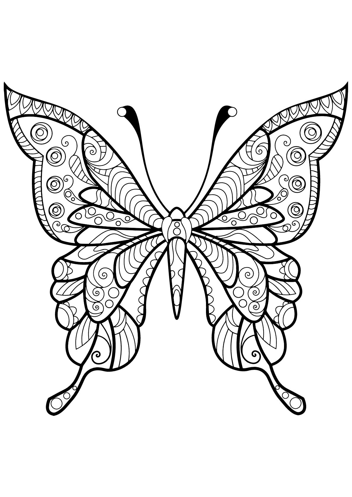 Insekten 59975 Schmetterlinge und Insekten Malbuch Fur
