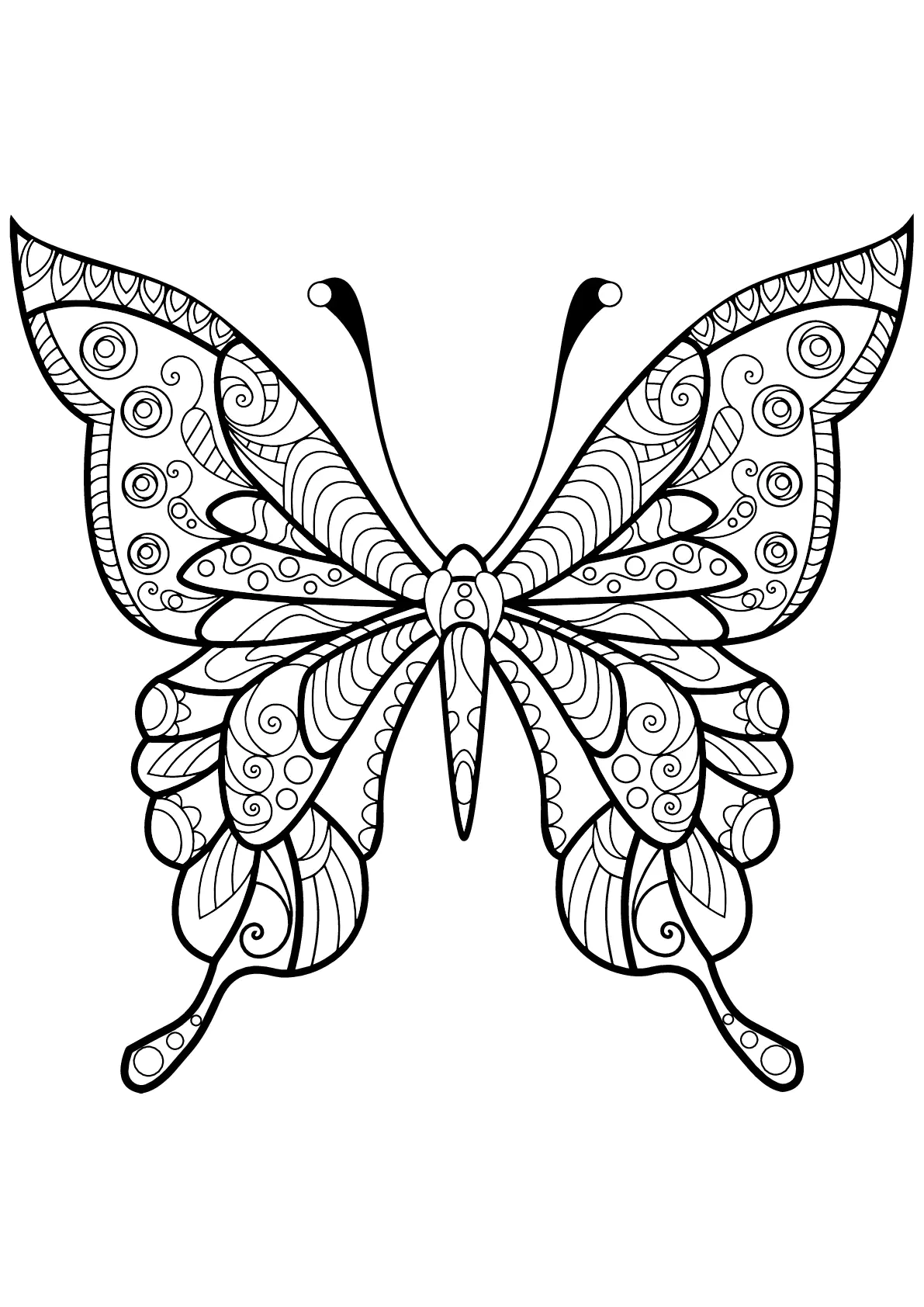 Insekten-59975 (Ausmalbild von Schmetterlinge und Insekten zum Ausdrucken und Ausmalen für Erwachsene)