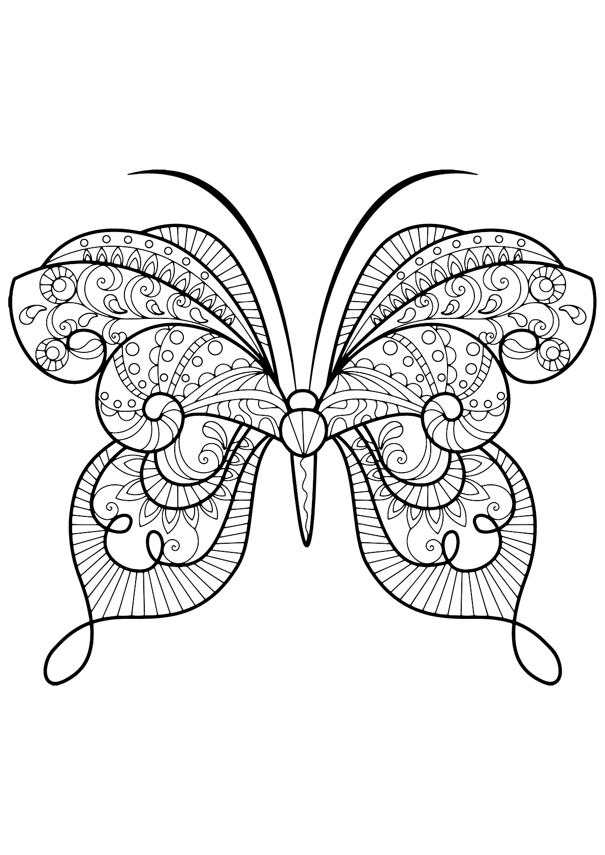Schmetterling mit schönen Mustern - 15 (Ausmalbild von Schmetterlinge und Insekten zum Ausdrucken und Ausmalen für Erwachsene)