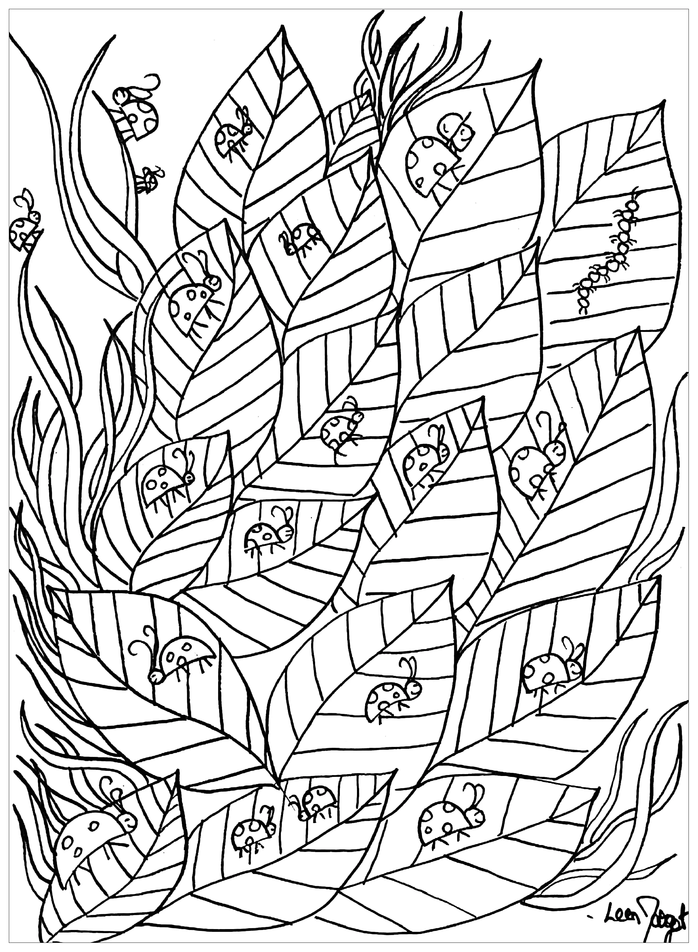 Marienkäfer auf Blättern (Ausmalbild von Leen Margot zum Ausdrucken und Ausmalen für Erwachsene)