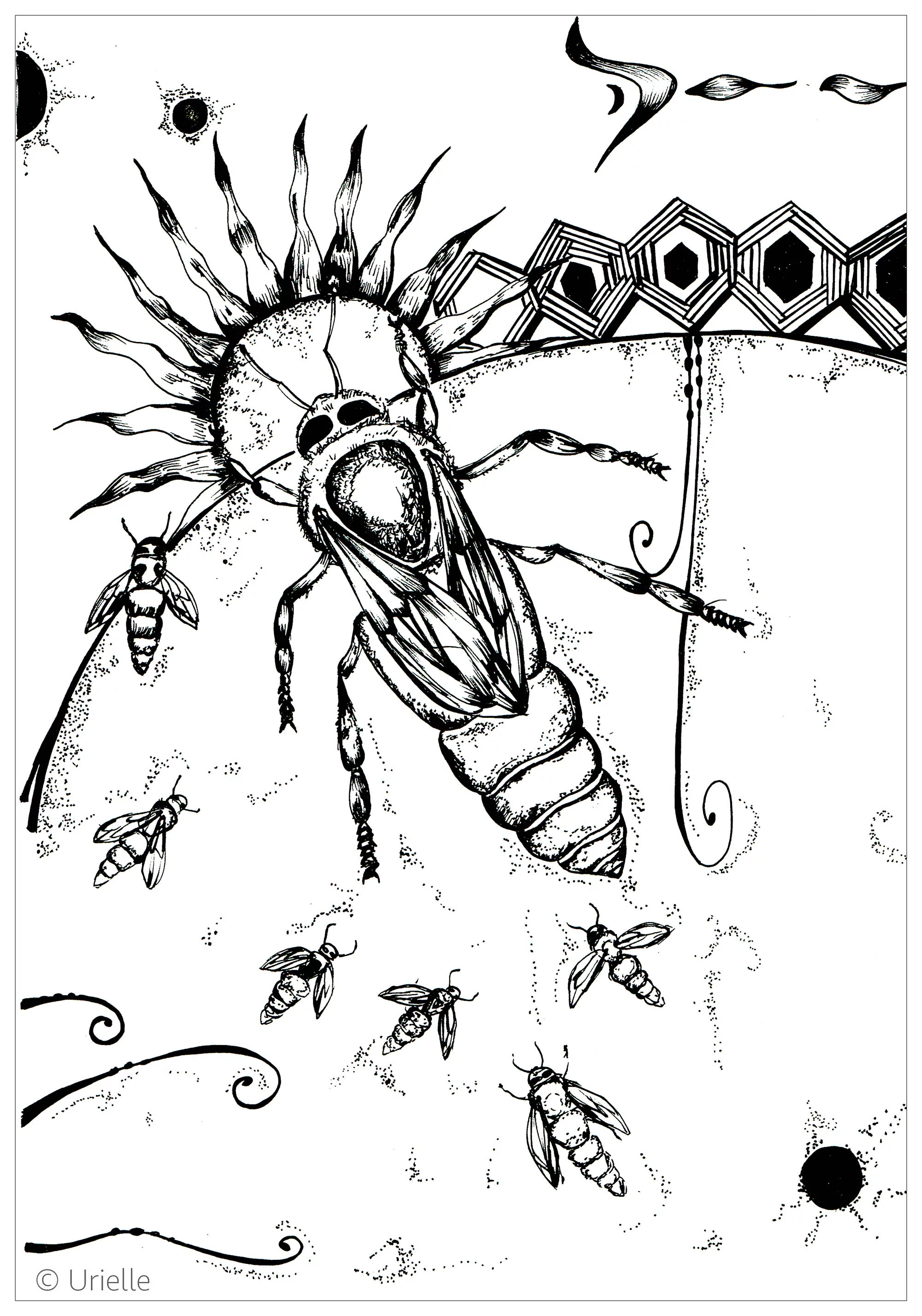 Schmetterlinge-und-insekten-22380 (Ausmalbild von Schmetterlinge und Insekten zum Ausdrucken und Ausmalen für Erwachsene)