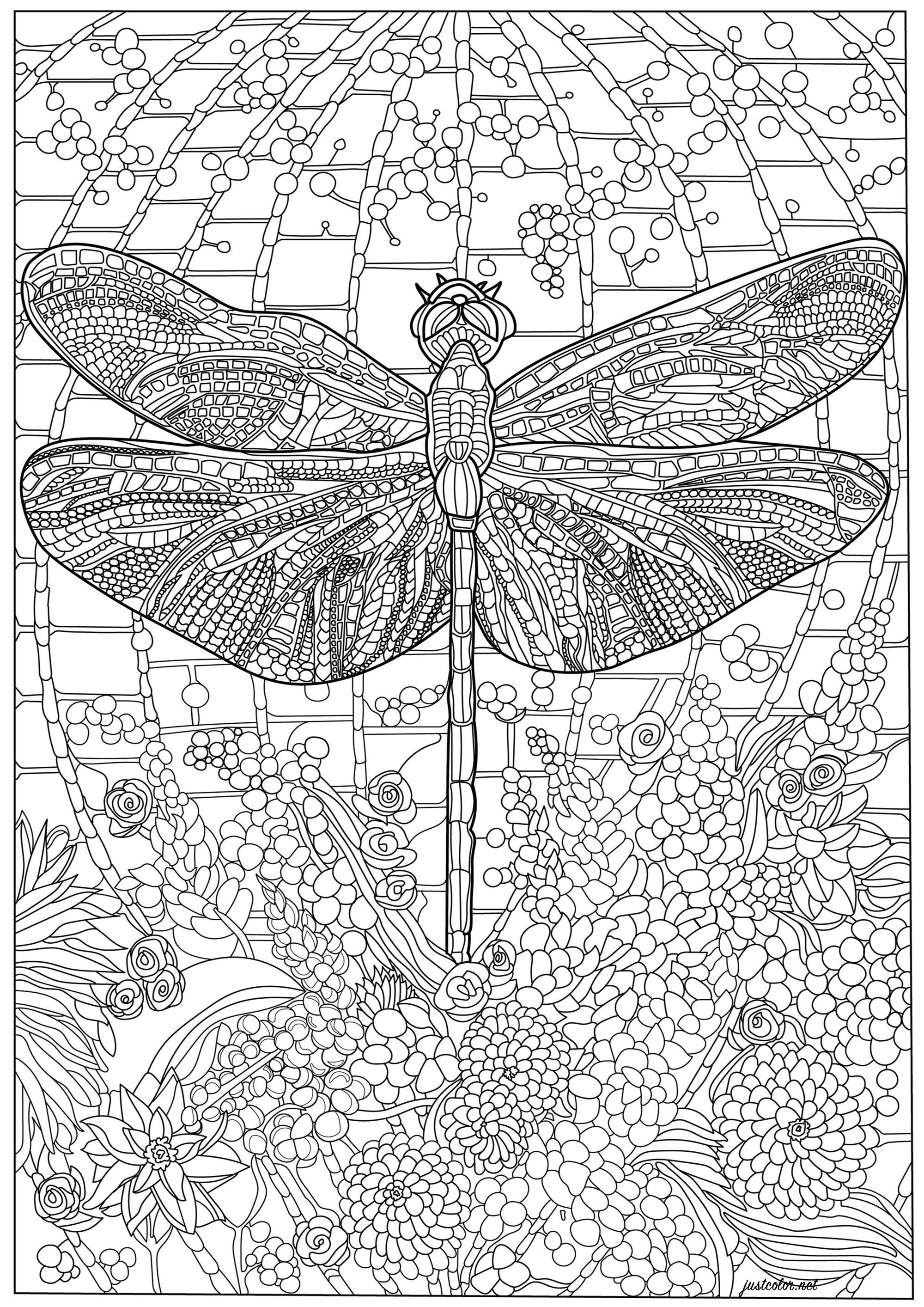 Libelle und viele komplizierte Details. Ein Farbschema voller Details, sowohl am Körper der Libelle als auch im Hintergrund, Künstler : Morgan