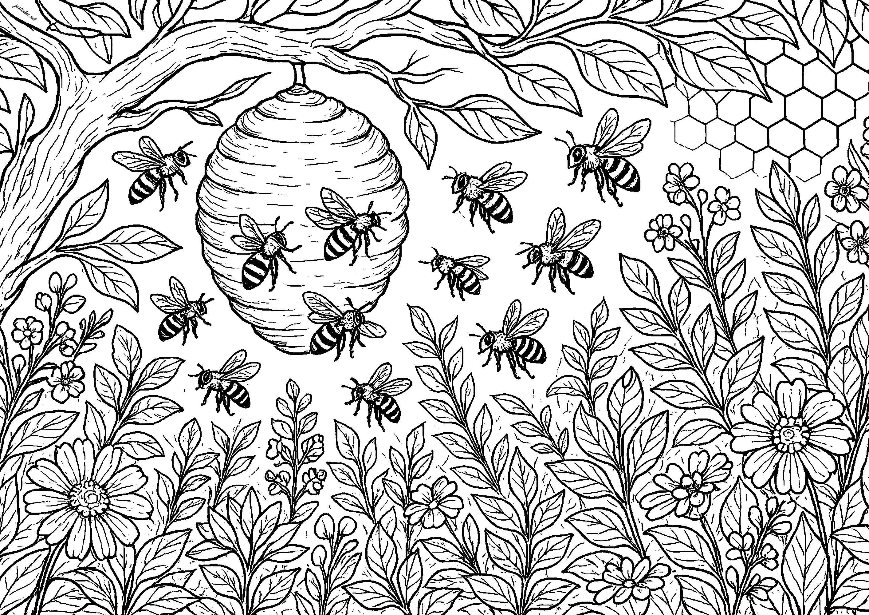 Bienen zurück im Bienenstock - Ausmalbilder von Schmetterlinge und Insekten  zum Ausmalen, image size:2828x2000