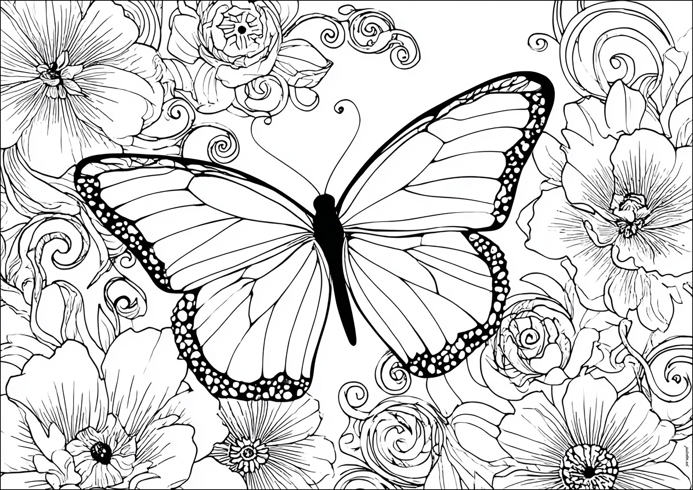 Schmetterlinge-und-insekten-12784 (Ausmalbild von Schmetterlinge und Insekten zum Ausdrucken und Ausmalen für Erwachsene)