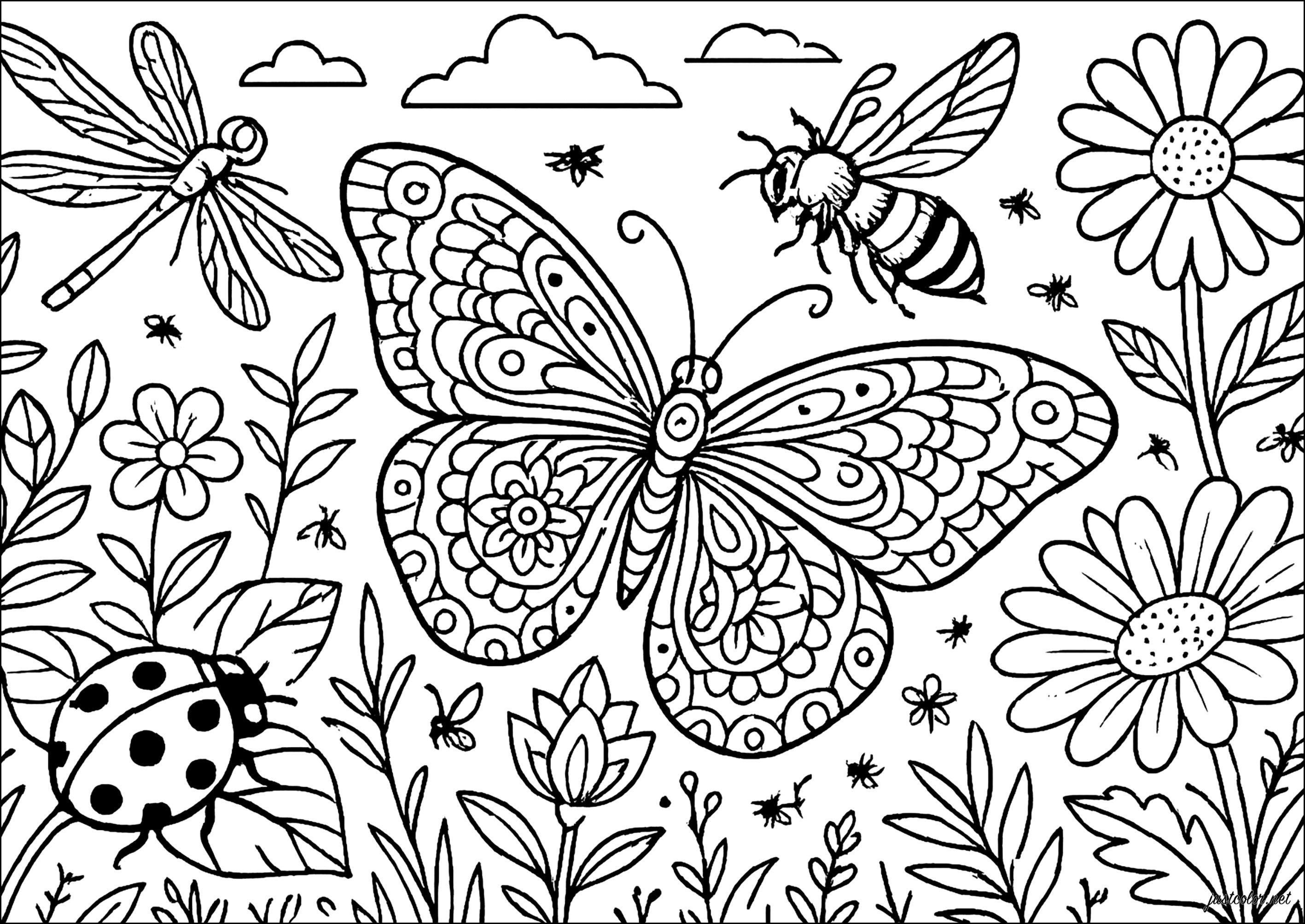 Schmetterlinge-und-insekten-45714 (Ausmalbild von Schmetterlinge und Insekten zum Ausdrucken und Ausmalen für Erwachsene)