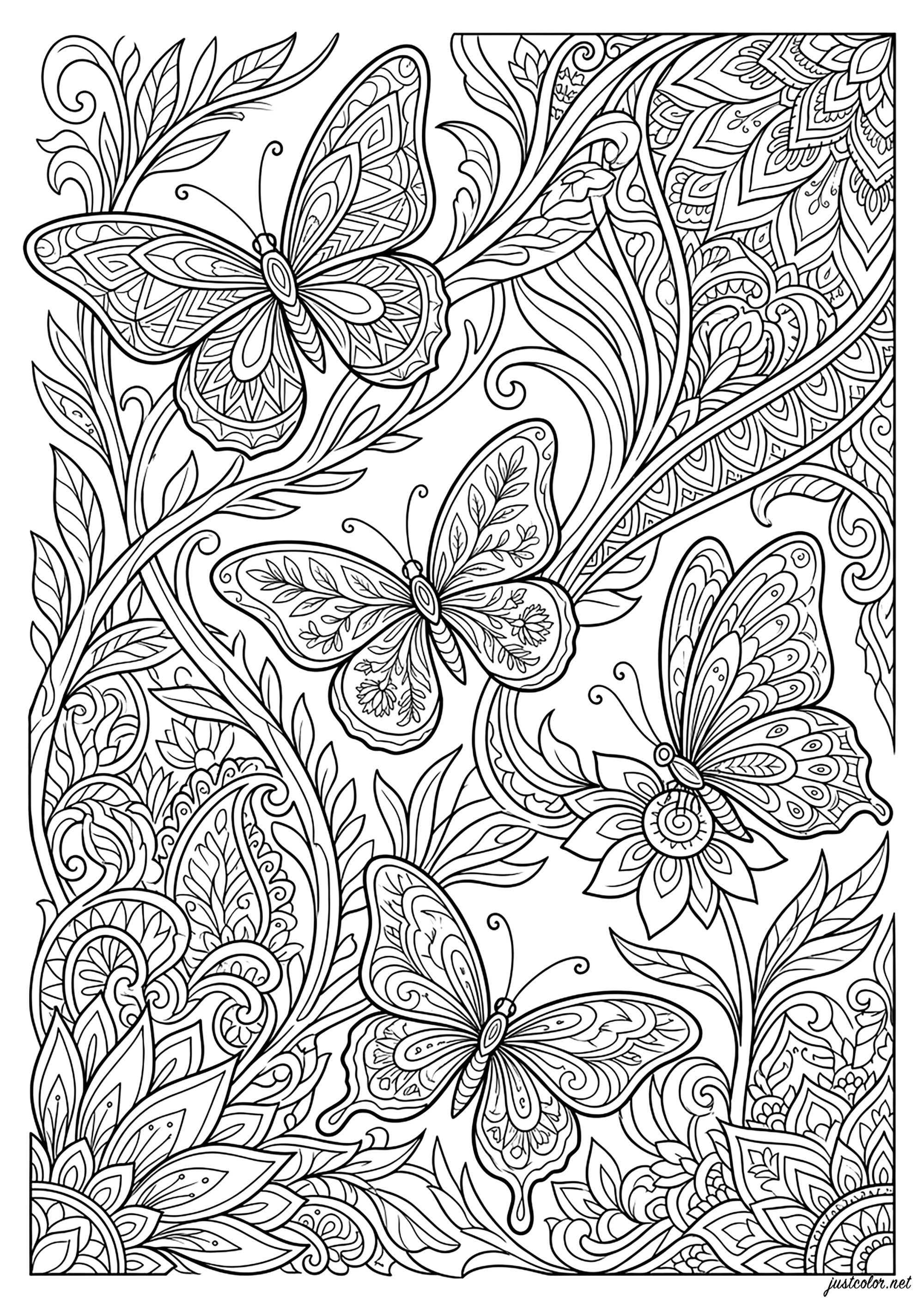 Ornamental Vol (Ausmalbild von Schmetterlinge und Insekten zum Ausdrucken und Ausmalen für Erwachsene)