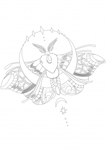 Nachtfalter (Motte) (Ausmalbild von Schmetterlinge und Insekten)