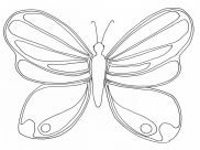 Insekten