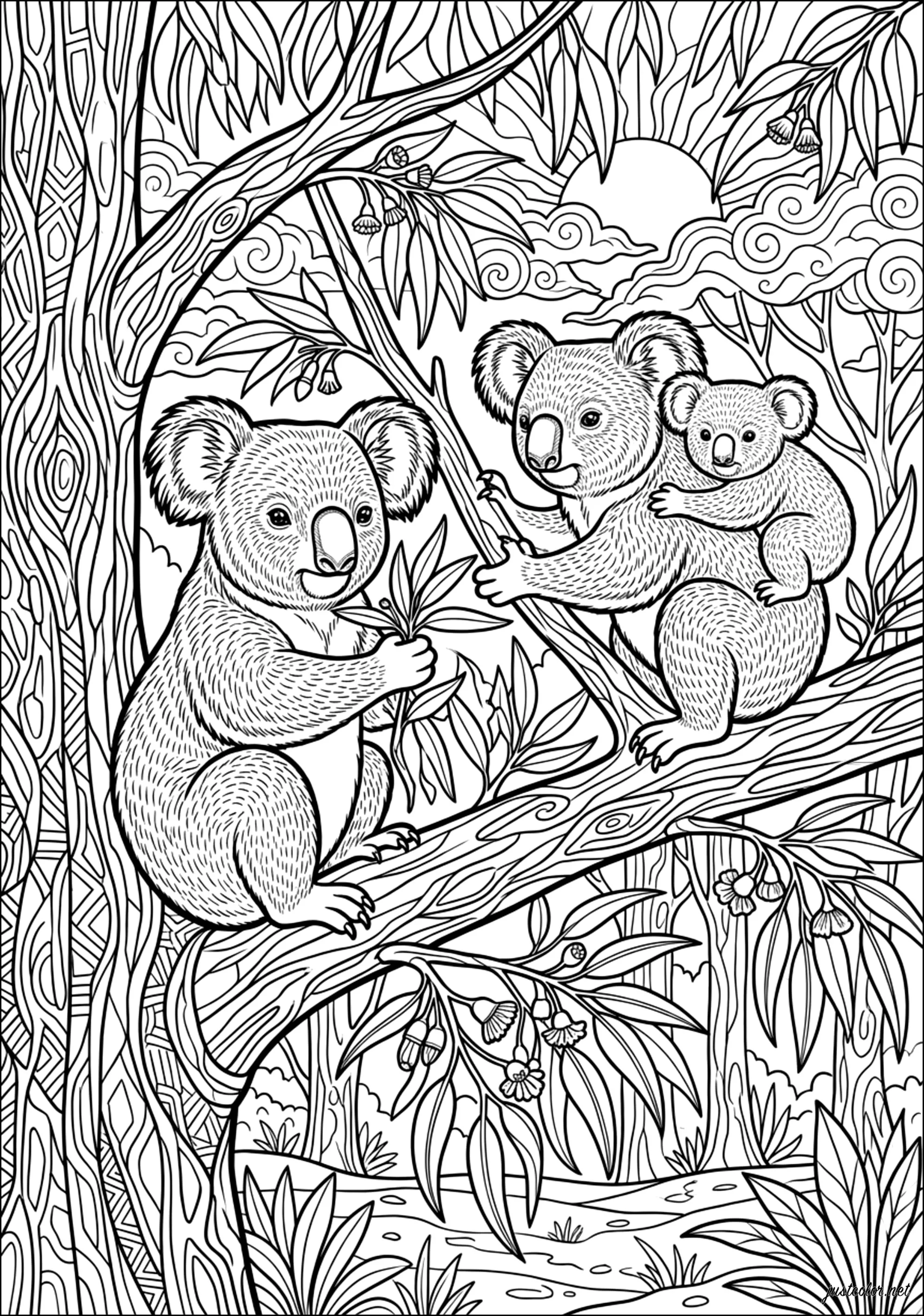 Koalafamilie auf einem Eukalyptuszweig (Ausmalbild von Koalabären zum Ausdrucken und Ausmalen für Erwachsene)