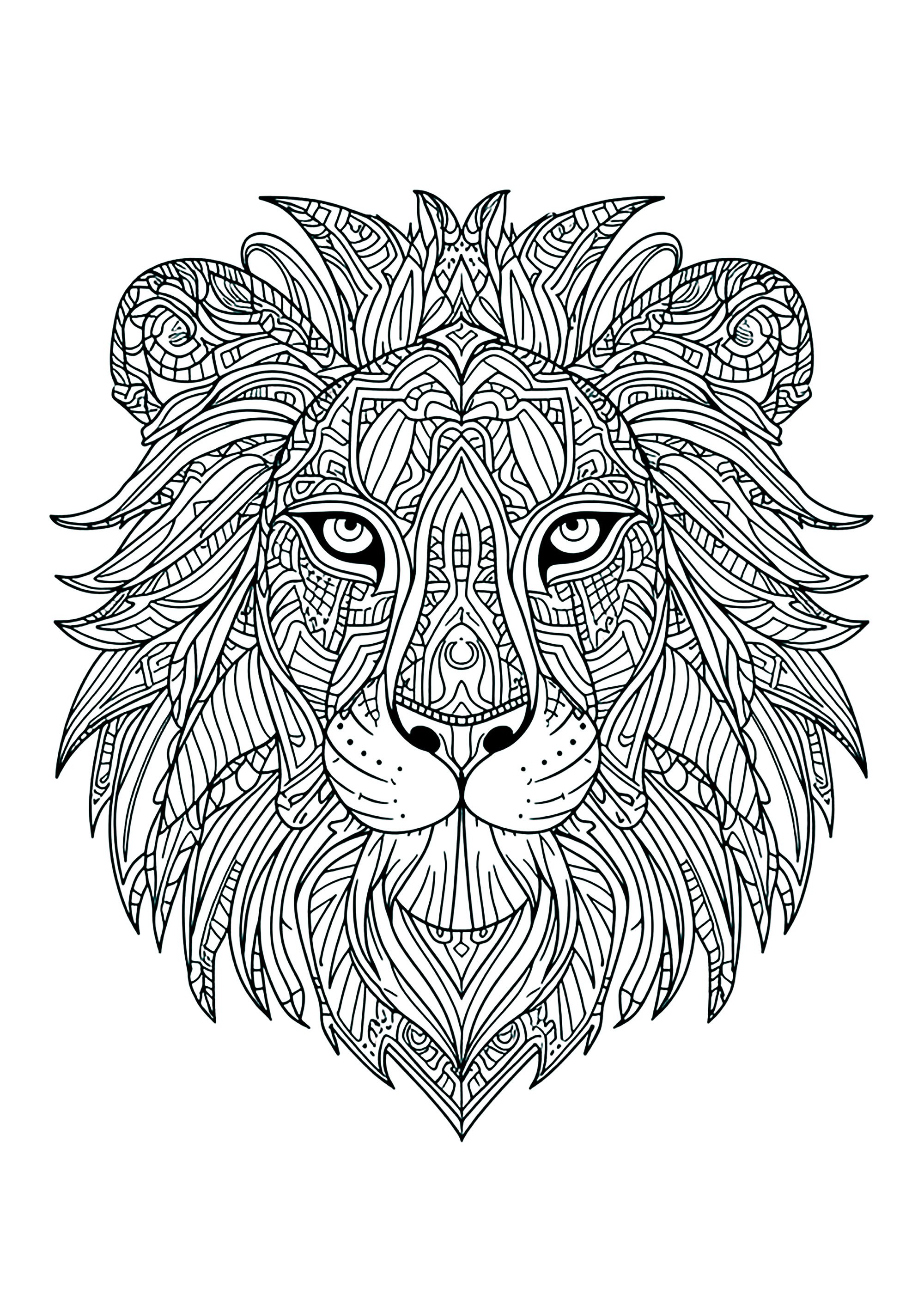 Ausmalbild von Löwen : Löwenkopf mit vielen verschlungenen Motiven Ausmalbild von Löwen zum Ausdrucken und Ausmalen für Erwachsene : Löwenkopf mit vielen verschlungenen Motiven