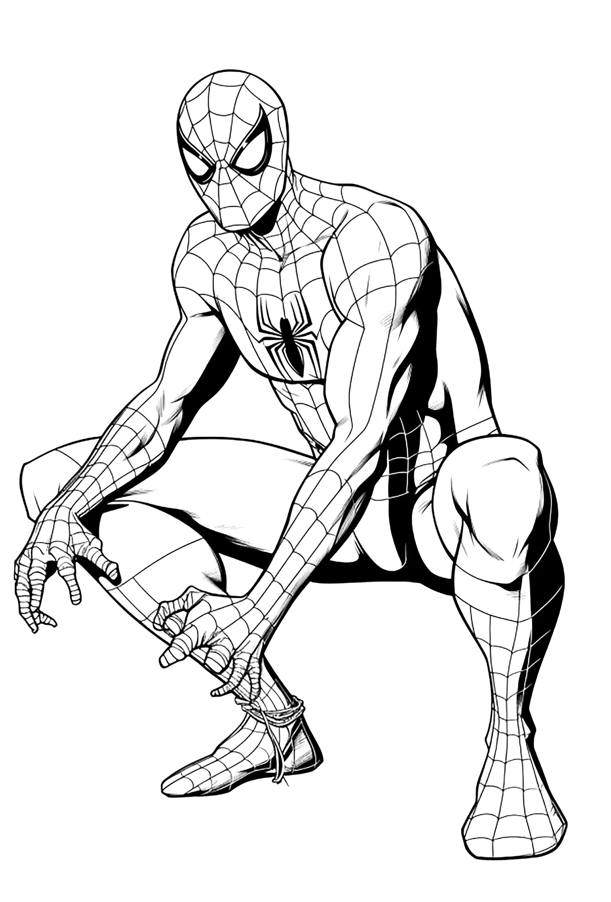 Spiderman bereit für den Kampf (Ausmalbild von Bücher & Comics zum Ausdrucken und Ausmalen für Erwachsene)