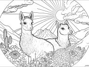 Ausmalbilder von Lamas zum Ausdrucken und Ausmalen für Erwachsene