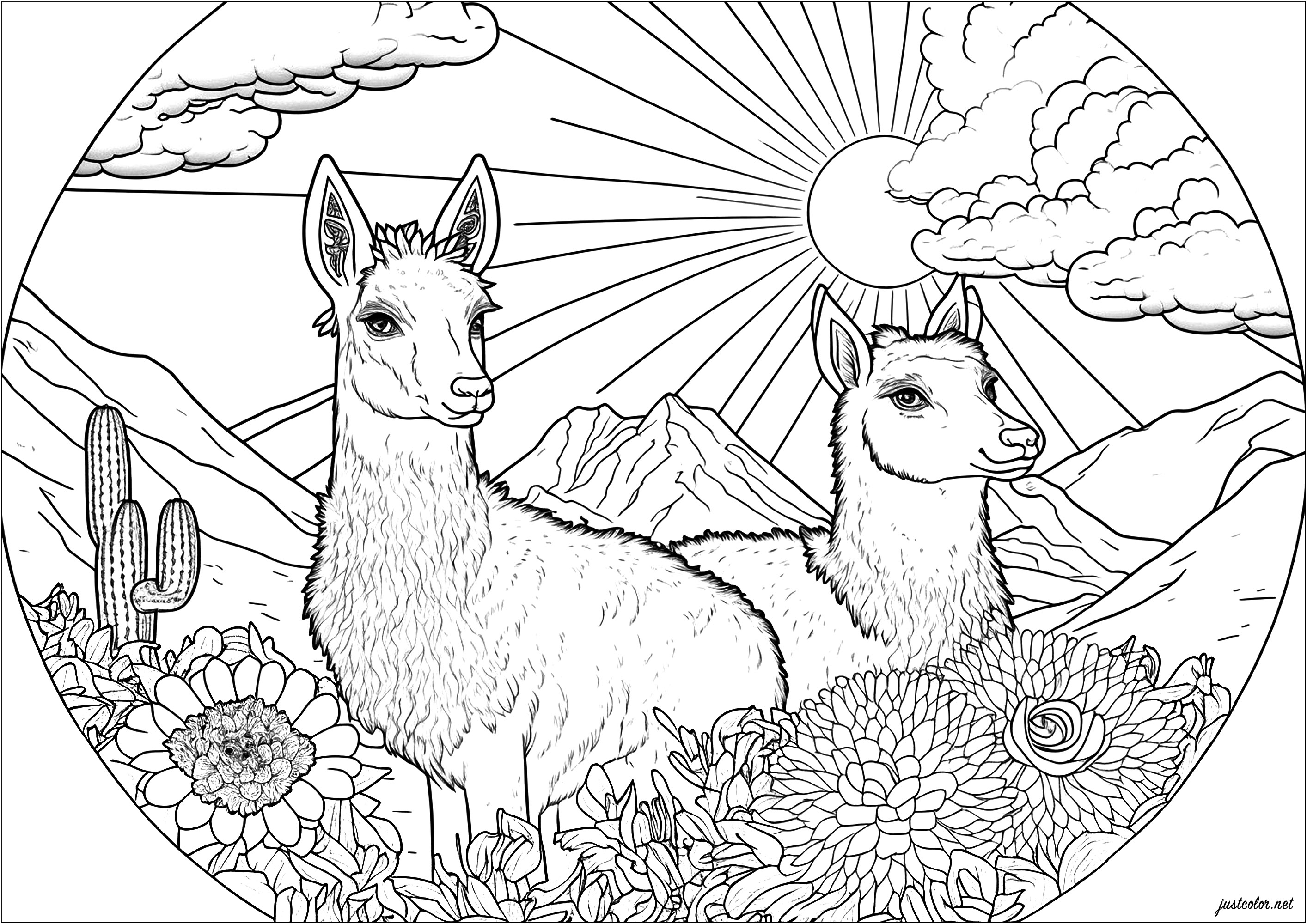 Zwei Lamas auf einer saftigen Wiese, die die Wärme der Sonne genießen. Diese Malvorlage ist absolut wunderschön! Es zeigt zwei niedliche, glückliche Lamas, umgeben von bunten Blumen und einer hellen Sonne.
Die Komposition ist sehr harmonisch und gibt dieser Malvorlage eine Atmosphäre des Friedens und der Gelassenheit. Zwei Lamas auf einer saftigen Wiese, die die Wärme der Sonne genießen. Diese Malvorlage ist absolut wunderschön! Es zeigt zwei niedliche, glückliche Lamas, umgeben von bunten Blumen und einer hellen Sonne.
Die Komposition ist sehr harmonisch und gibt dieser Malvorlage eine Atmosphäre des Friedens und der Gelassenheit.