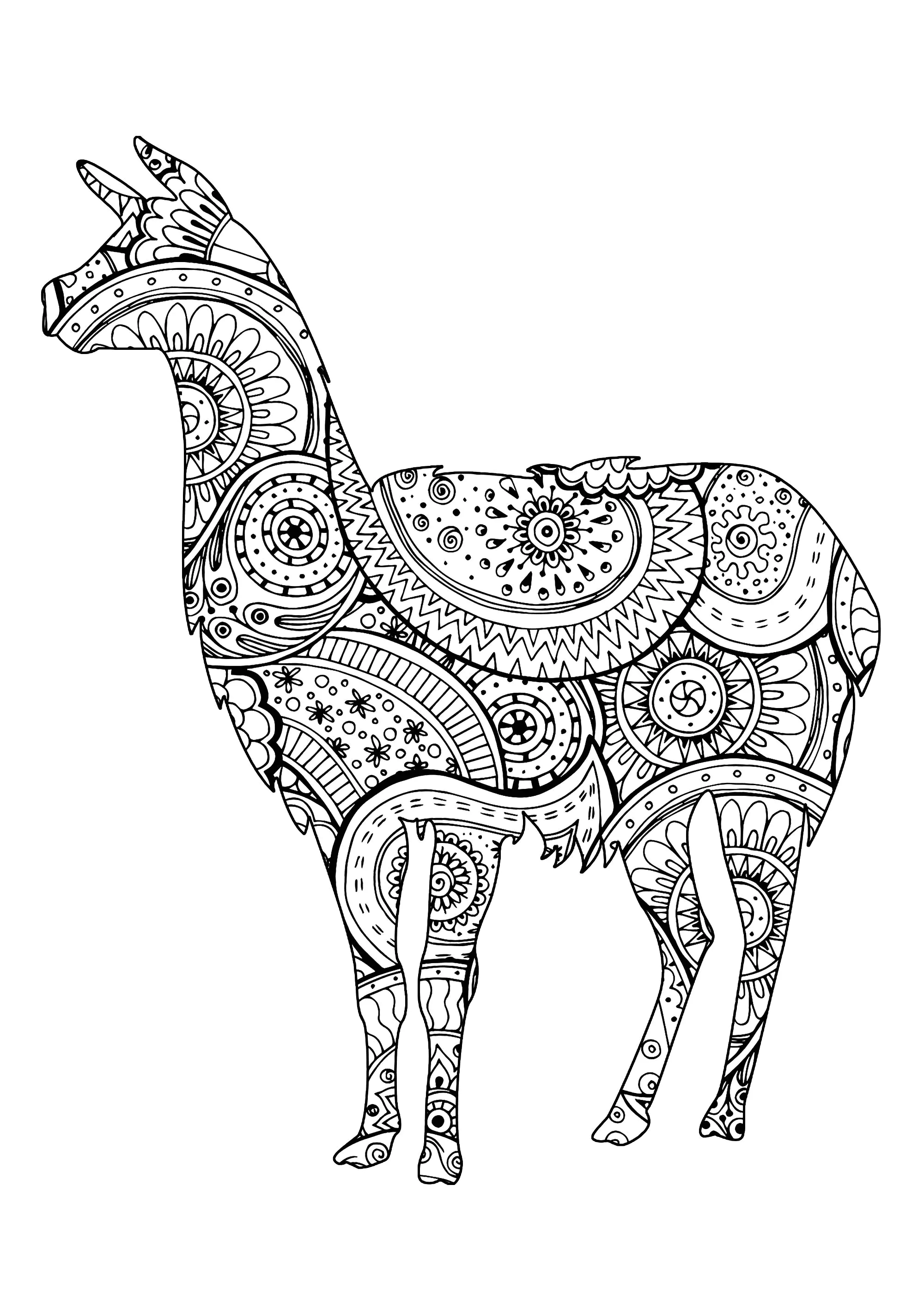 Lamaform mit Mustern (Ausmalbild von Lamas zum Ausdrucken und Ausmalen für Erwachsene)