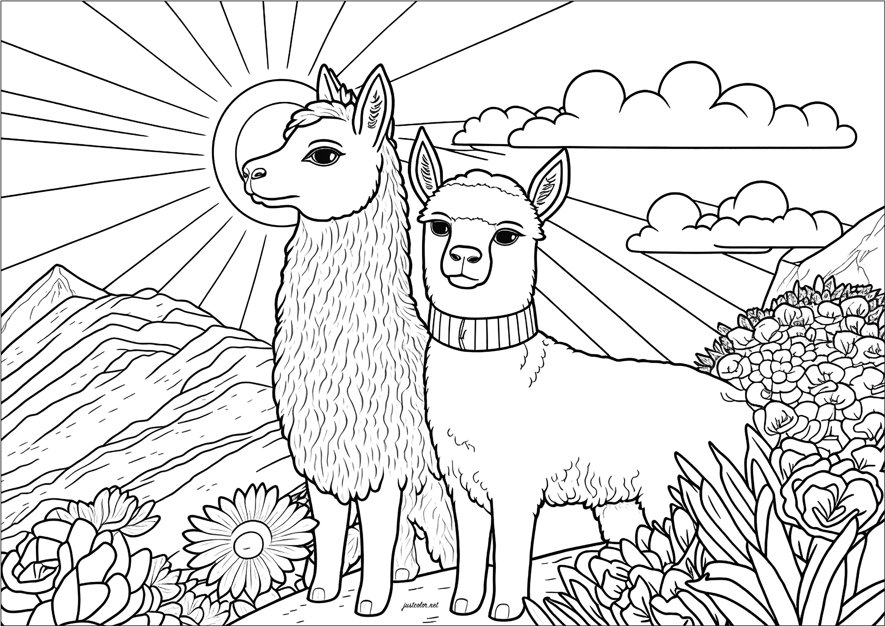Zwei ernsthafte Lamas färben. Diese Färbung zeigt zwei ernste Lamas, die nebeneinander stehen. Sie scheinen aufrecht, aufmerksam und ruhig zu sein. Wir können uns vorstellen, dass sie die Landschaft um sich herum betrachten und dass sie sich in ihrer Umgebung wohlfühlen.