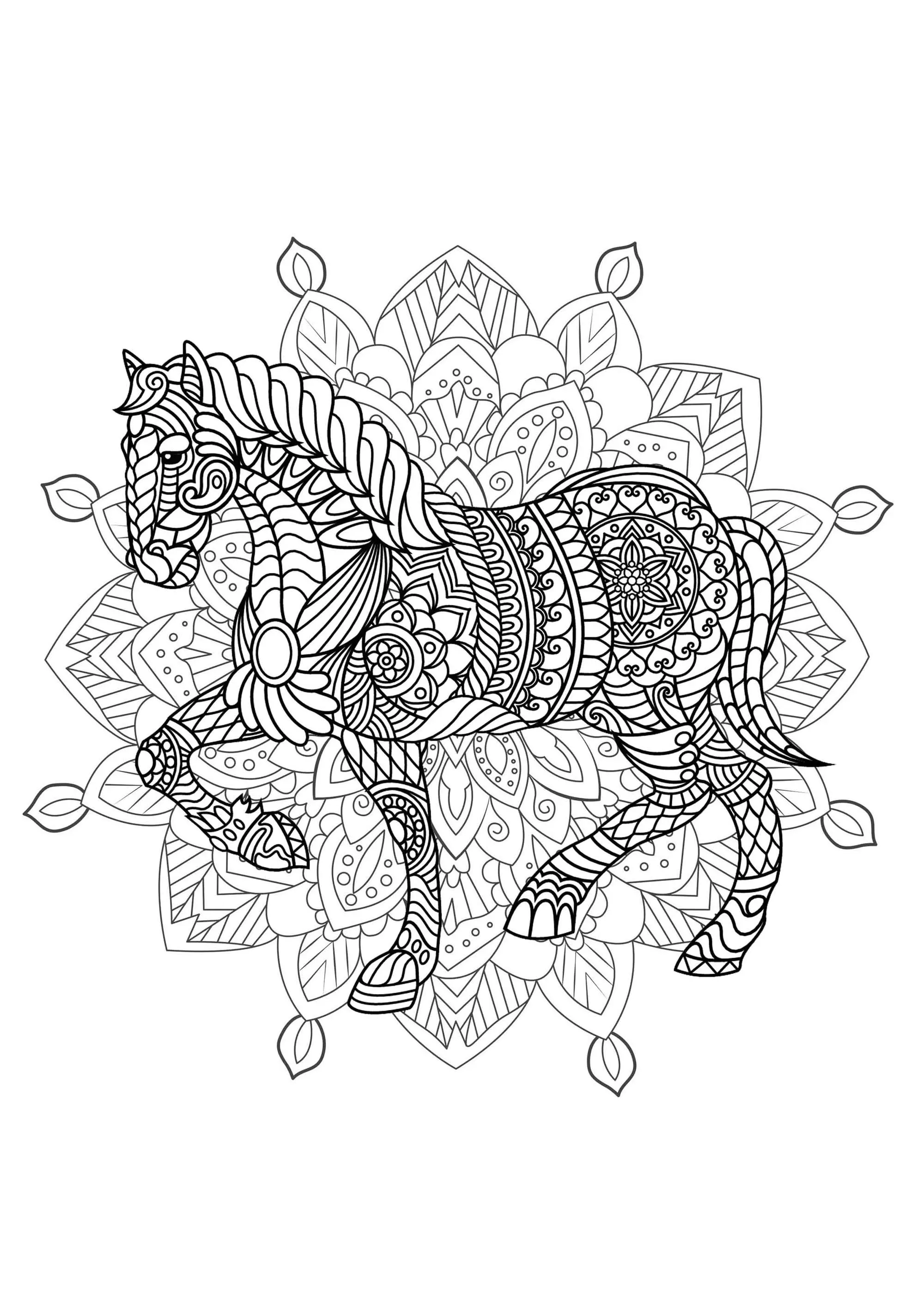 Mandala mit elegantem Pferd und komplexen Mustern (Ausmalbild zum Ausdrucken und Ausmalen für Erwachsene)