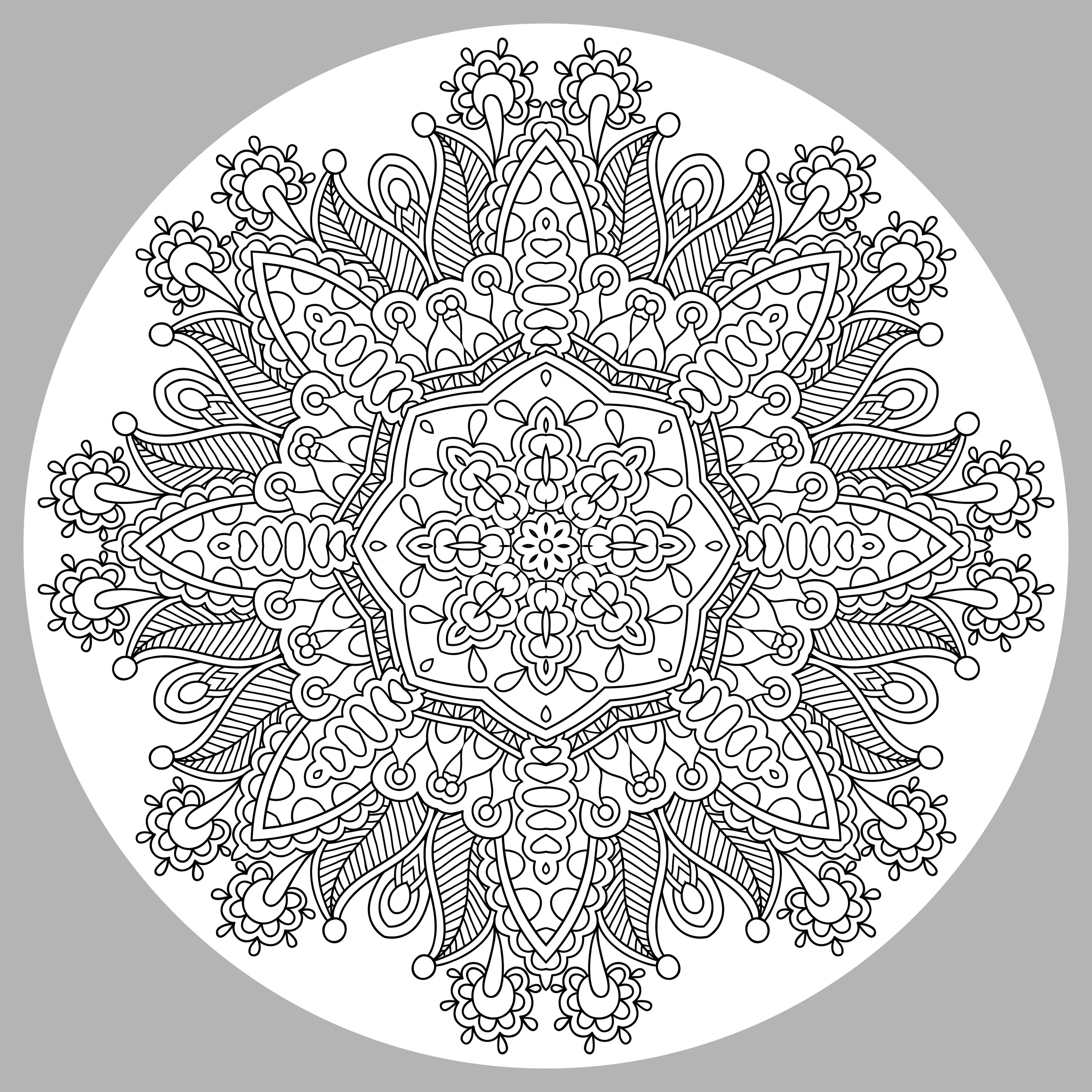 Malbuch Fur Erwachsene  : Mandalas - 76