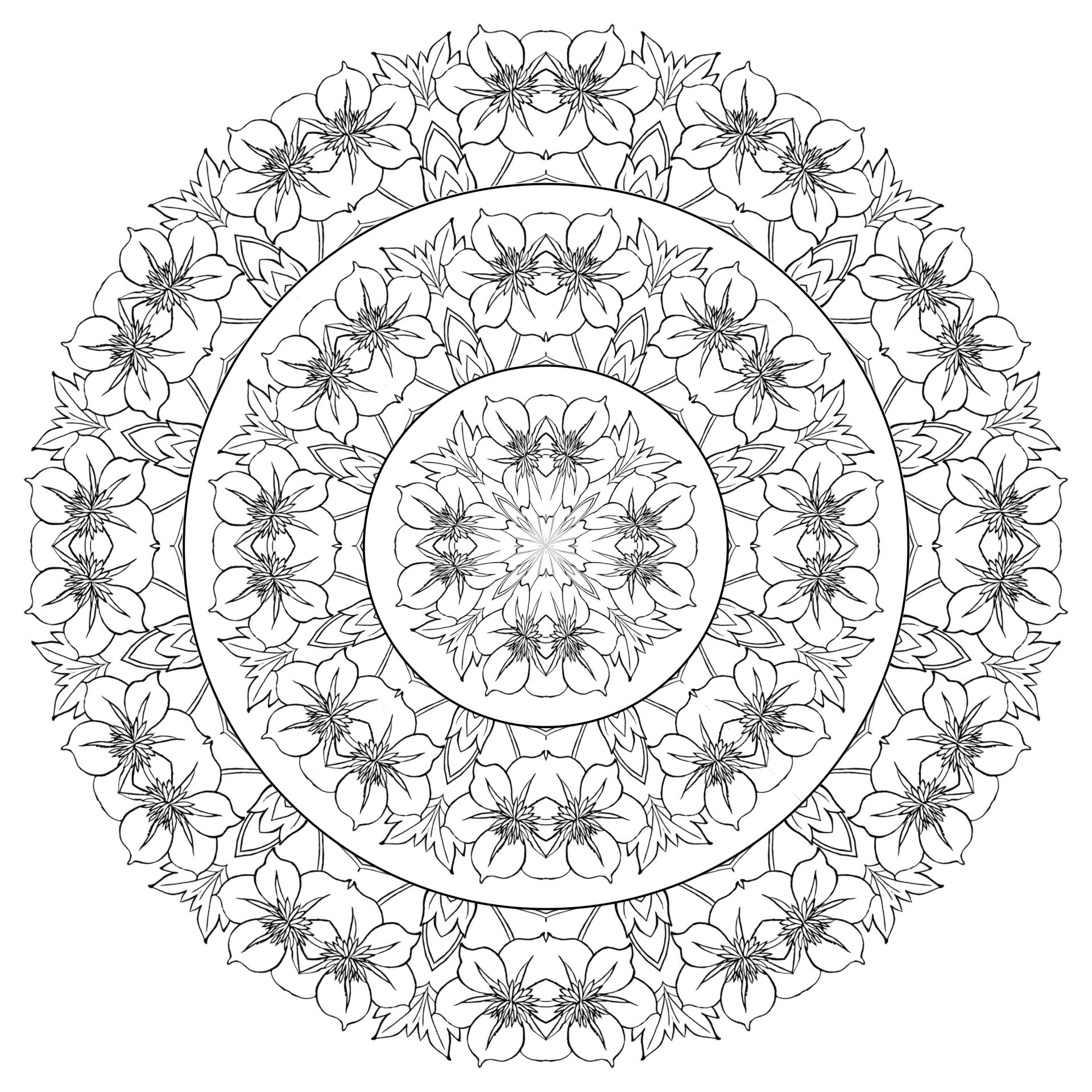 Ein Mandala aus identischen Blumen und Blättern. Alle Blumen und Blätter auf diesem Mandala sind identisch, können aber individuell ausgemalt werden. Dieses blumige Mandala bietet eine Vielzahl von Möglichkeiten, Ihrer Kreativität freien Lauf zu lassen und ein einzigartiges Farbschema zu erstellen, das Ihre Persönlichkeit widerspiegelt. Ein Mandala aus identischen Blumen und Blättern. Alle Blumen und Blätter auf diesem Mandala sind identisch, können aber individuell ausgemalt werden. Dieses blumige Mandala bietet eine Vielzahl von Möglichkeiten, Ihrer Kreativität freien Lauf zu lassen und ein einzigartiges Farbschema zu erstellen, das Ihre Persönlichkeit widerspiegelt.