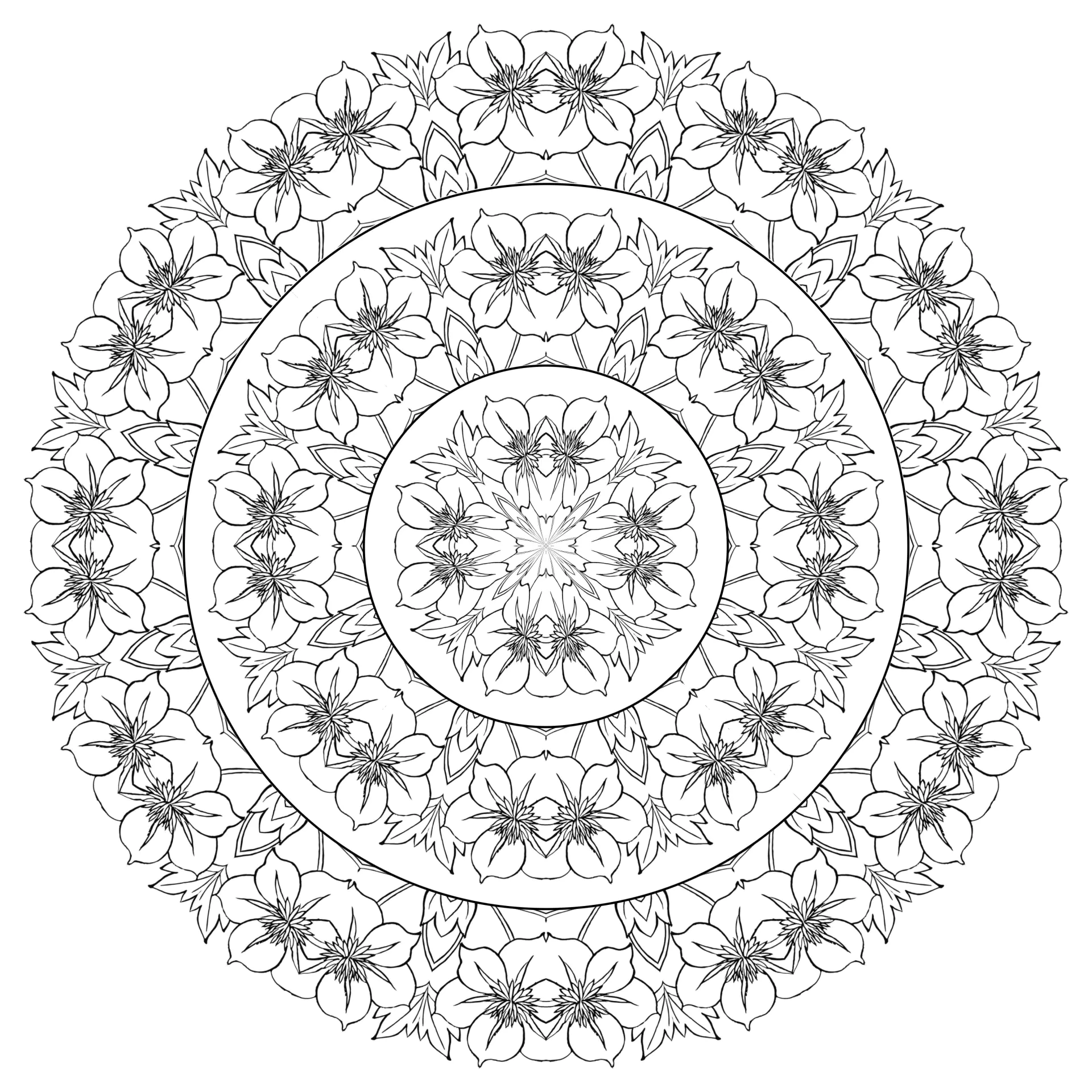Komplexes Mandala mit vielen Blumen (Ausmalbild zum Ausdrucken und Ausmalen für Erwachsene)
