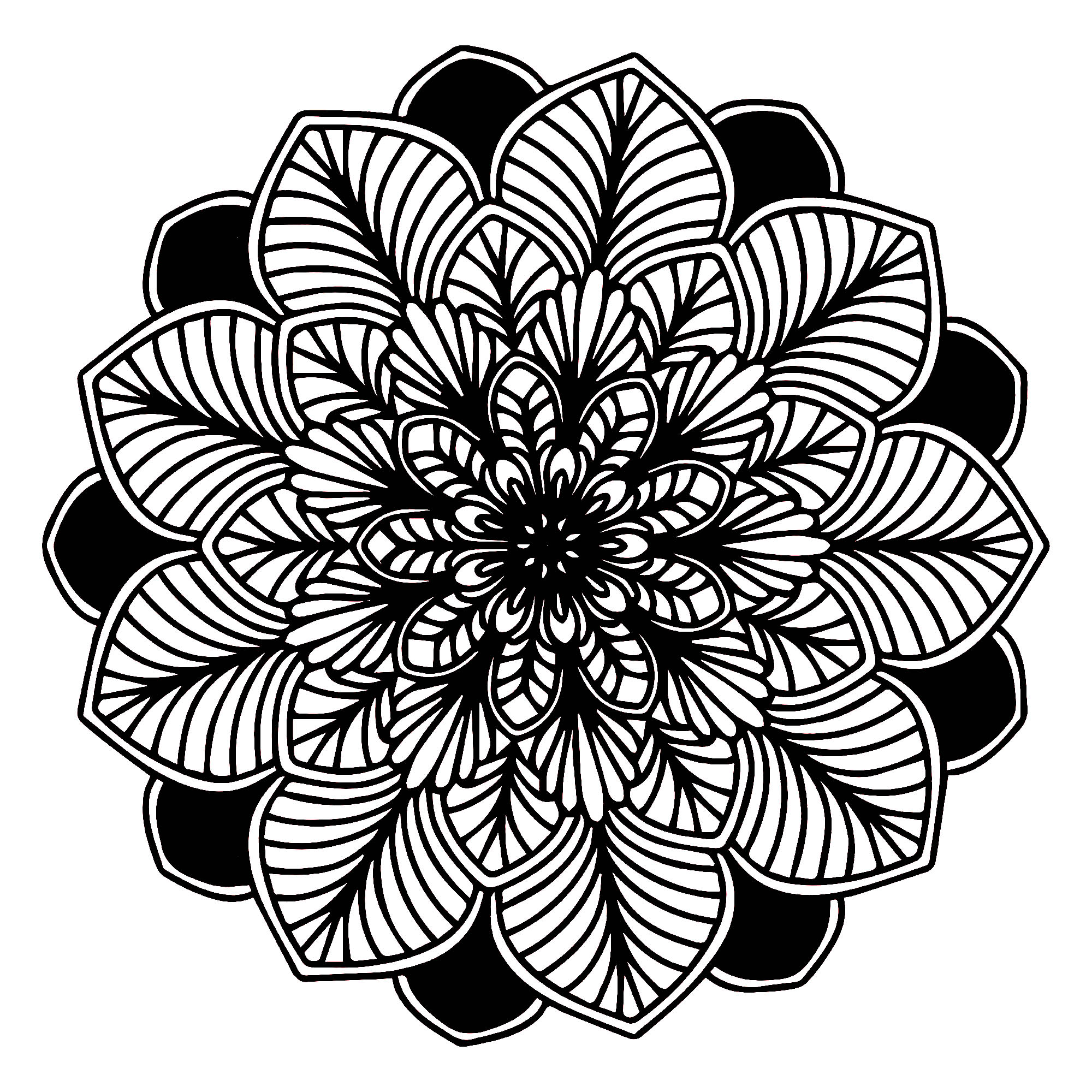 Schwarz & Weißes Mandala (Ausmalbild zum Ausdrucken und Ausmalen für Erwachsene)