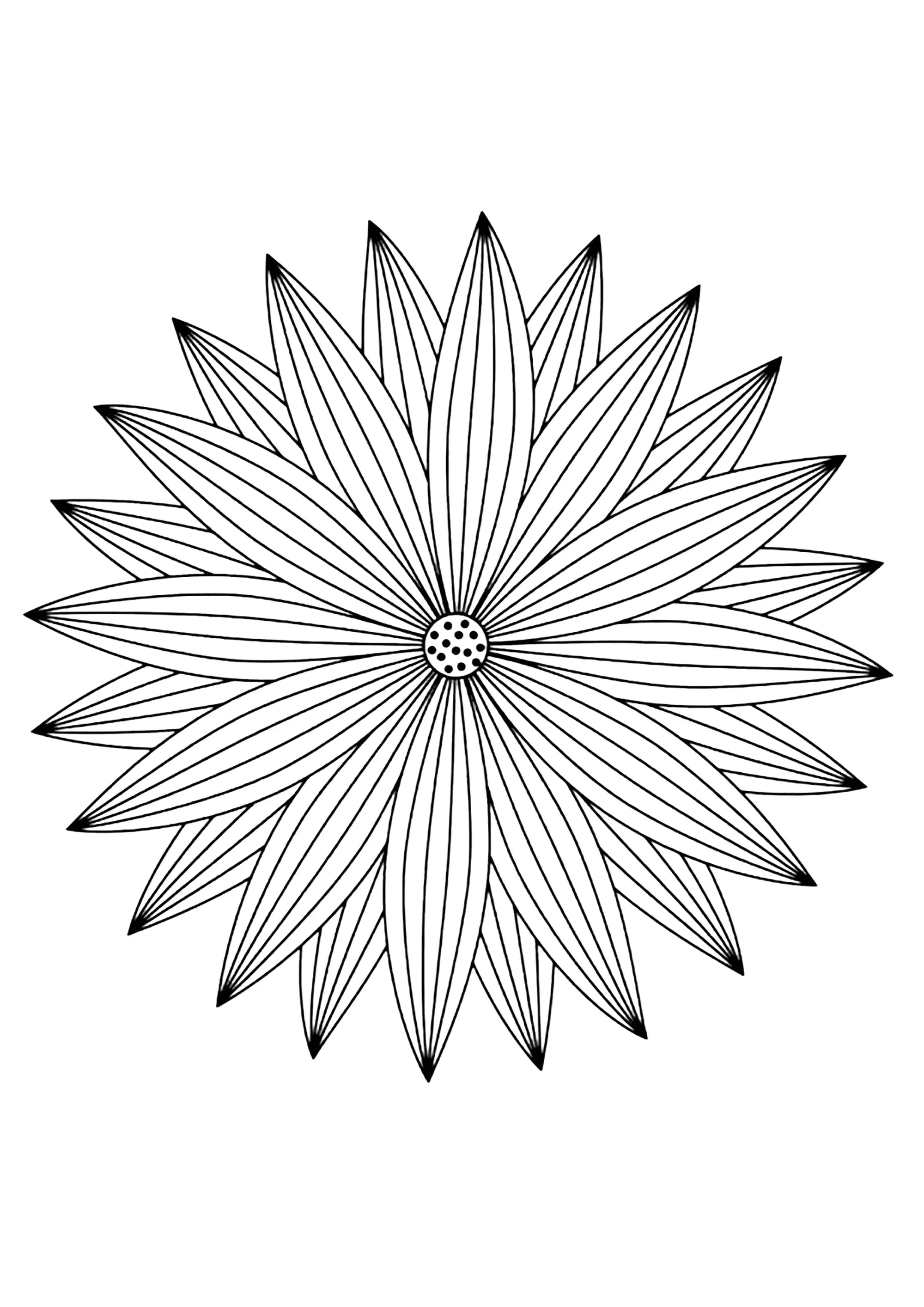 Mandala mit feinen Blütenblättern (Ausmalbild zum Ausdrucken und Ausmalen für Erwachsene)
