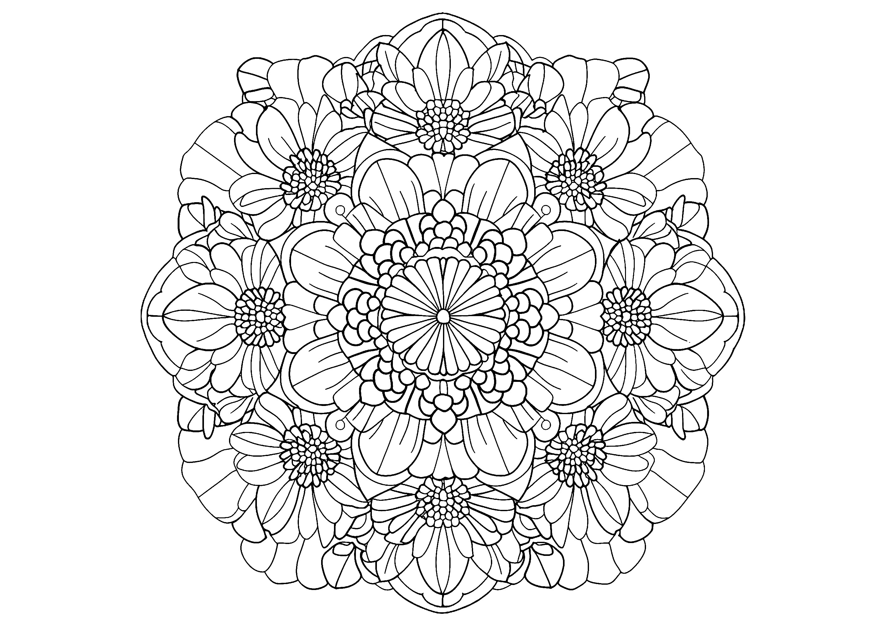 Eine harmonische florale Symphonie (Ausmalbild von Mandalas zum Ausdrucken und Ausmalen für Erwachsene)