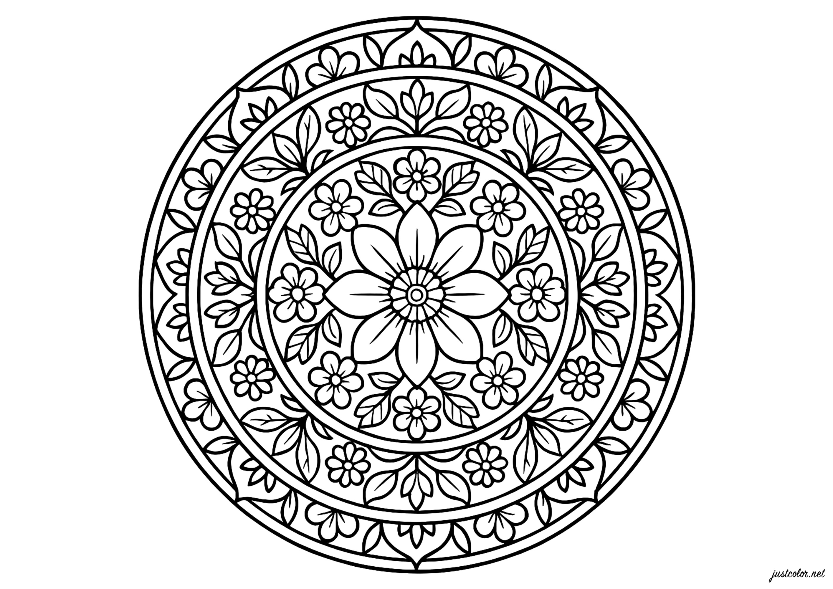 Florales Mandala mit zarten Motiven (Ausmalbild zum Ausdrucken und Ausmalen für Erwachsene)