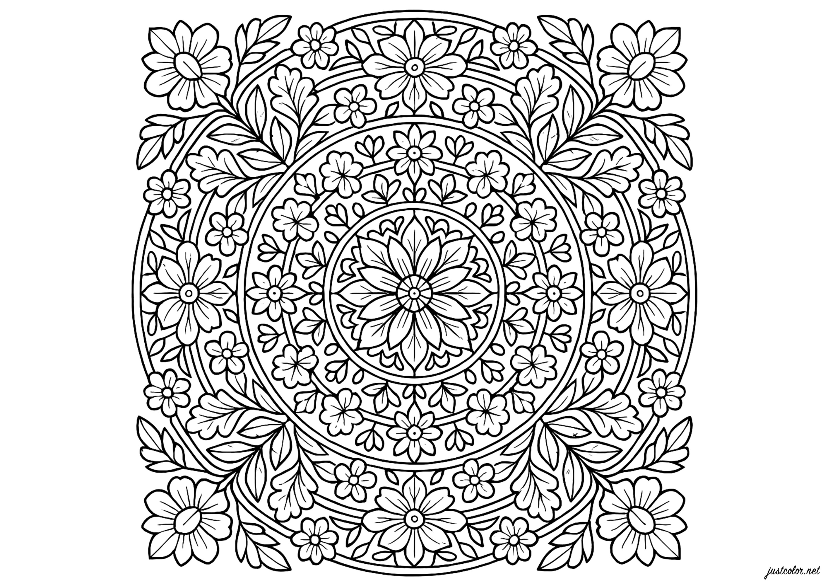 Komplexes florales Mandala (Ausmalbild zum Ausdrucken und Ausmalen für Erwachsene)