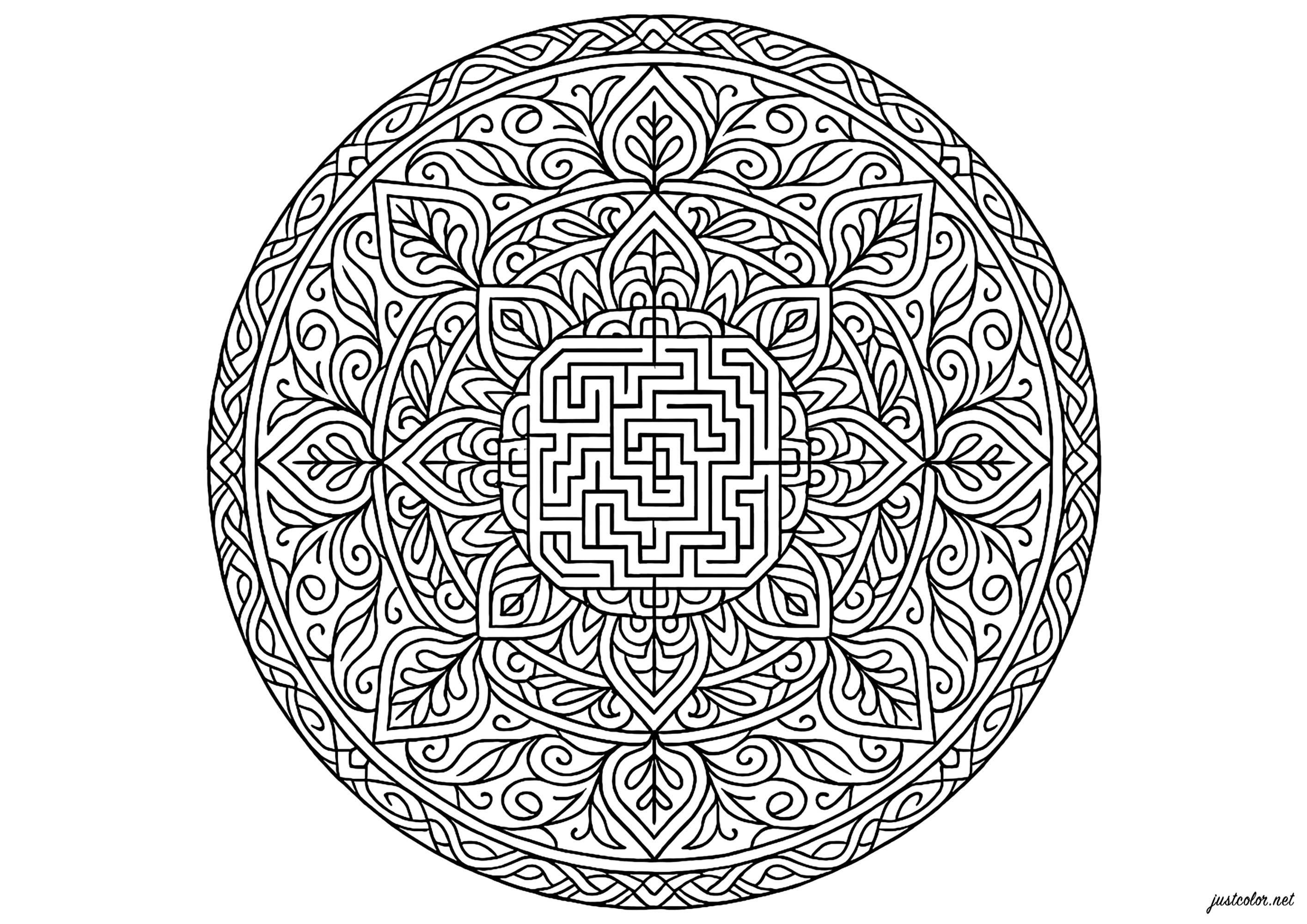 Verschlungener Labyrinth und Blattwerk (Ausmalbild von Mandalas zum Ausdrucken und Ausmalen für Erwachsene)