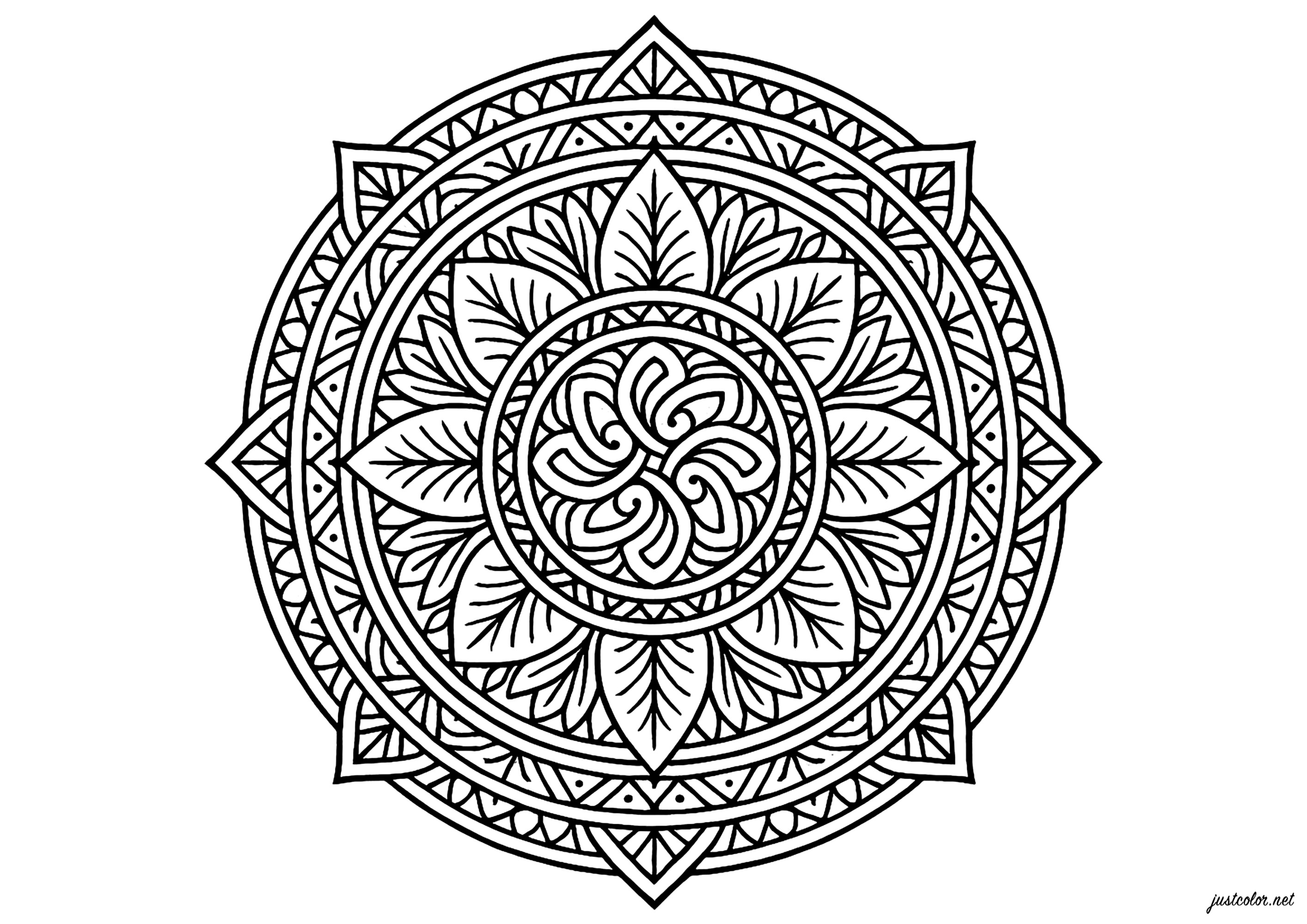 Strahlende Harmonie der Kreisformen (Ausmalbild von Mandalas zum Ausdrucken und Ausmalen für Erwachsene)